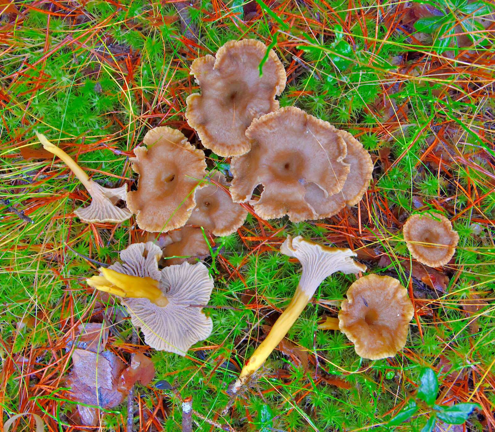 Valokuvaaja: Reijo Juurinen