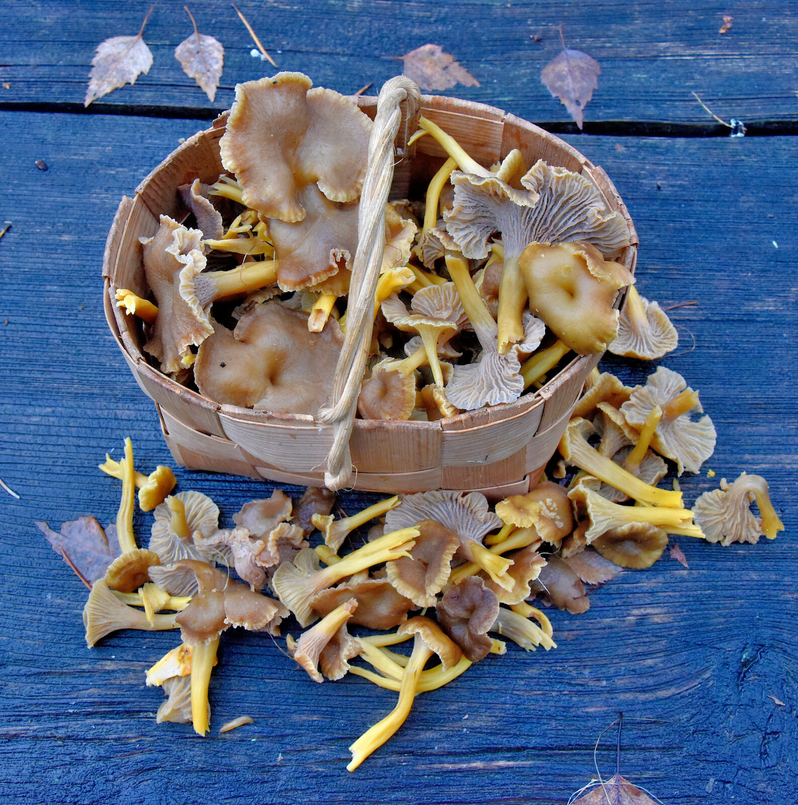 Valokuvaaja: Reijo Juurinen