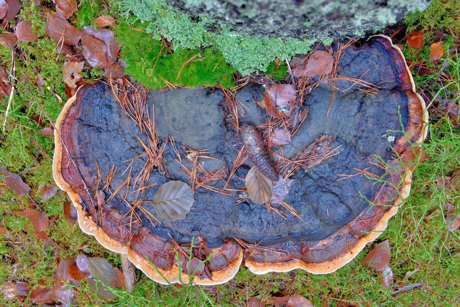 Valokuvaaja: Reijo Juurinen