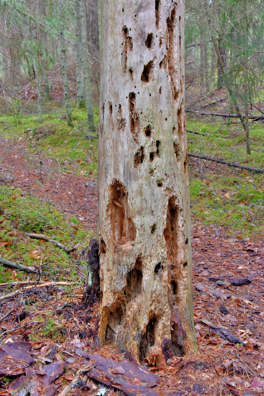 Valokuvaaja: Reijo Juurinen