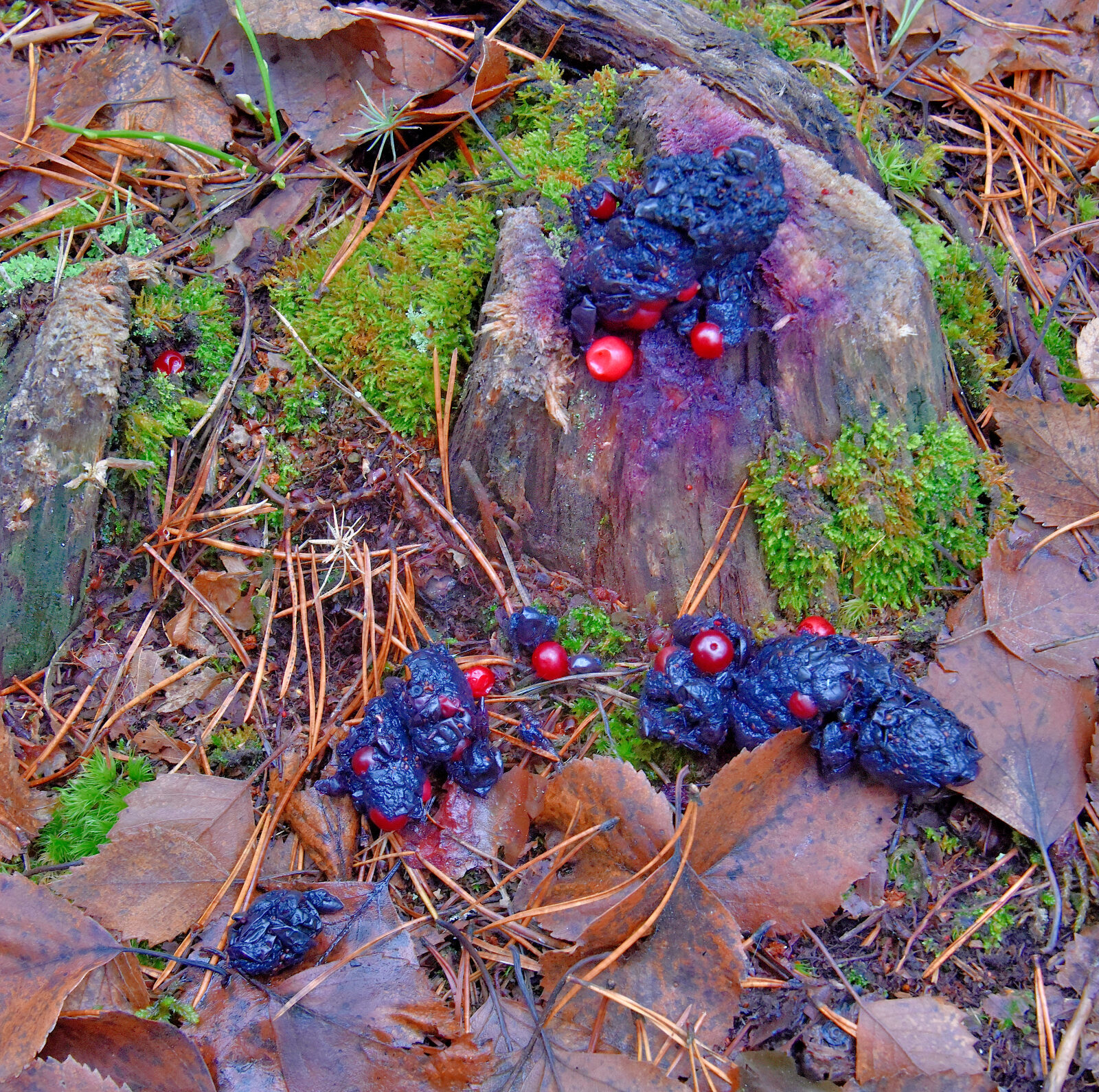 Valokuvaaja: Reijo Juurinen