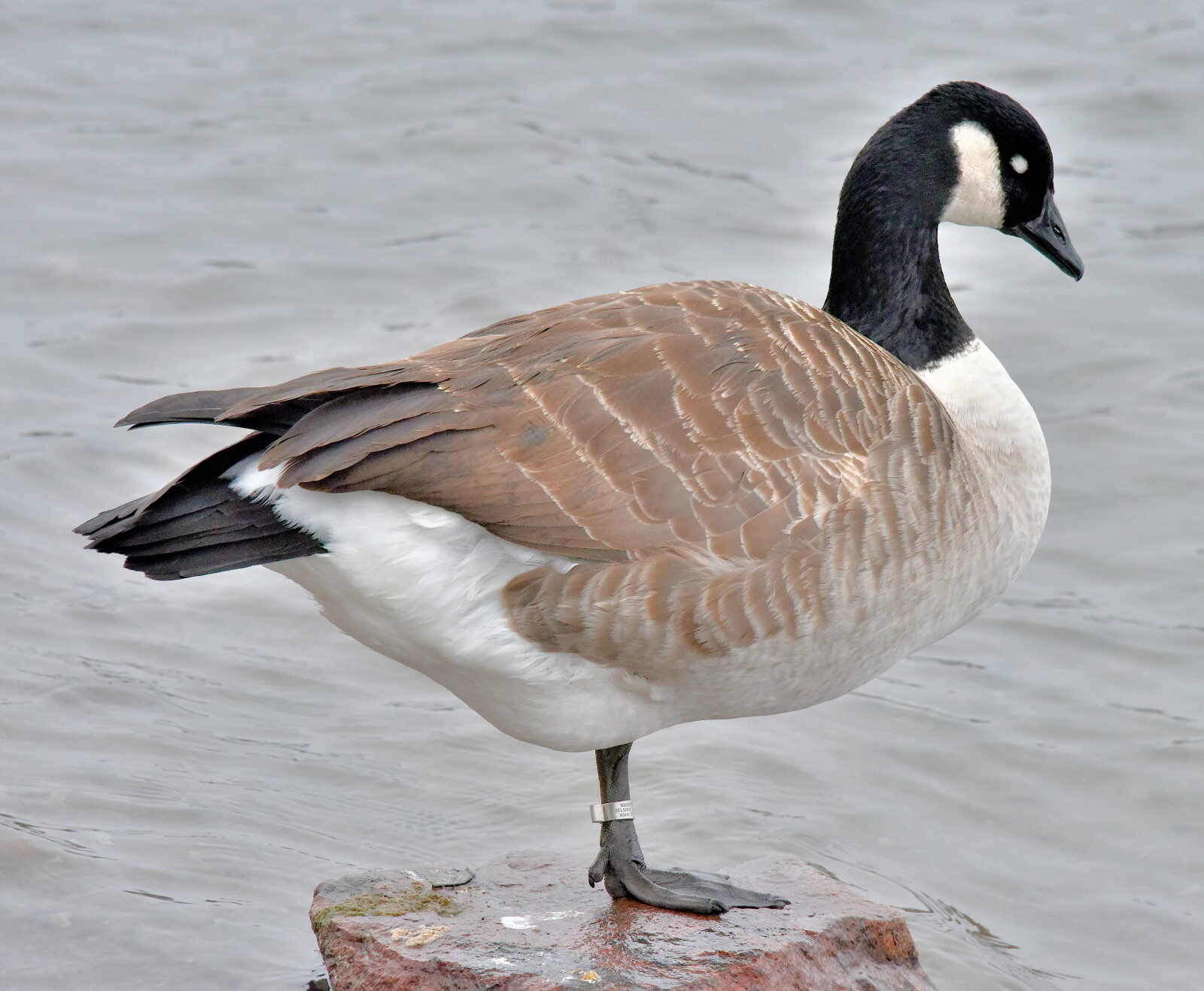 Valokuvaaja: Reijo Juurinen