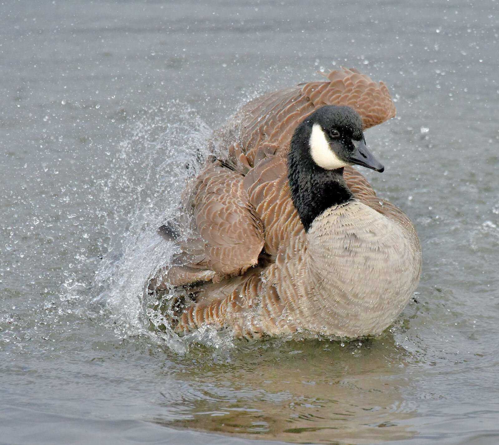 Valokuvaaja: Reijo Juurinen
