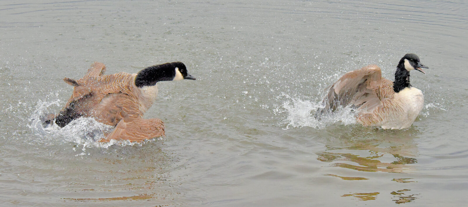 Valokuvaaja: Reijo Juurinen