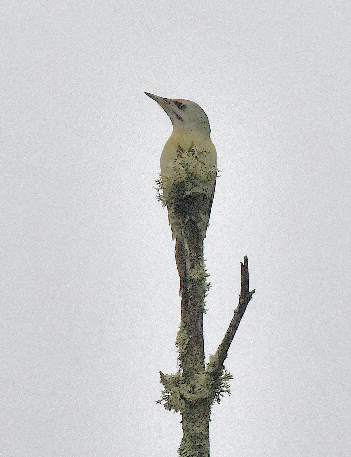 Valokuvaaja: Reijo Juurinen