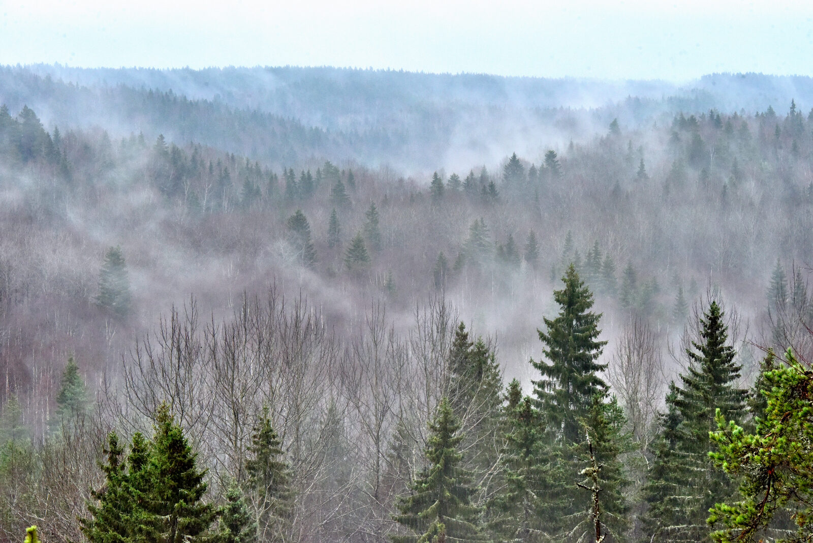 Valokuvaaja: Reijo Juurinen