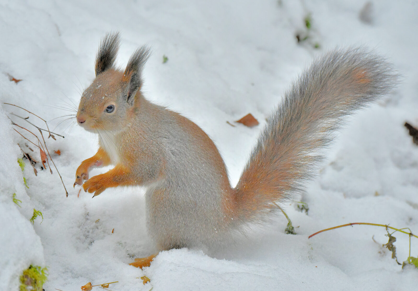 Valokuvaaja: Reijo Juurinen