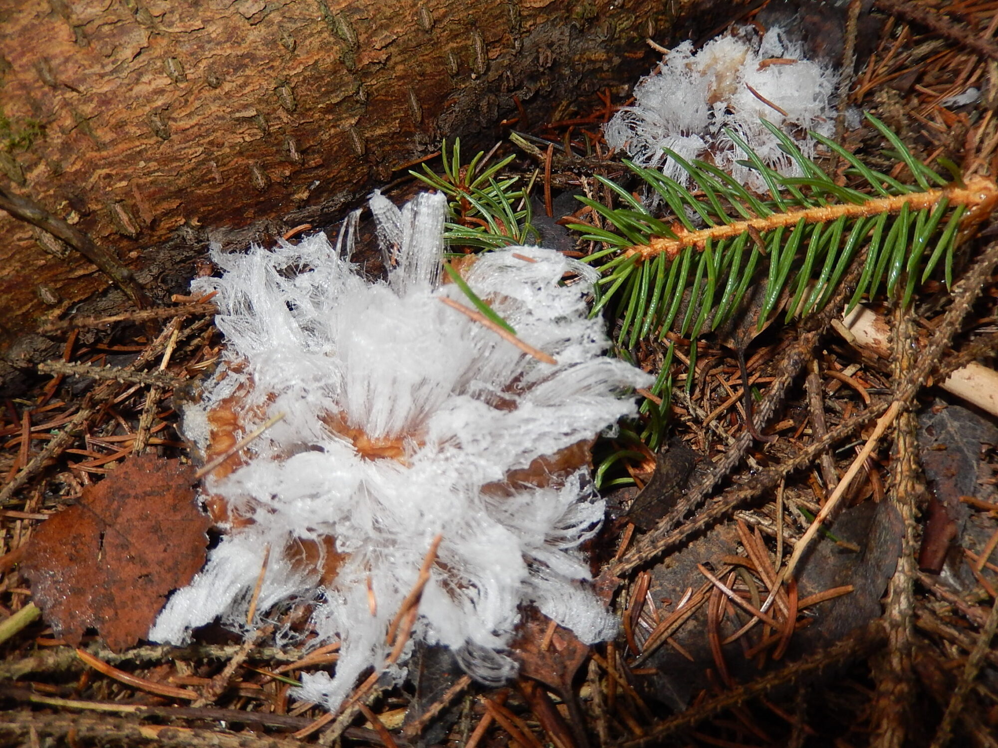 Valokuvaaja: Pirkko Siukonen