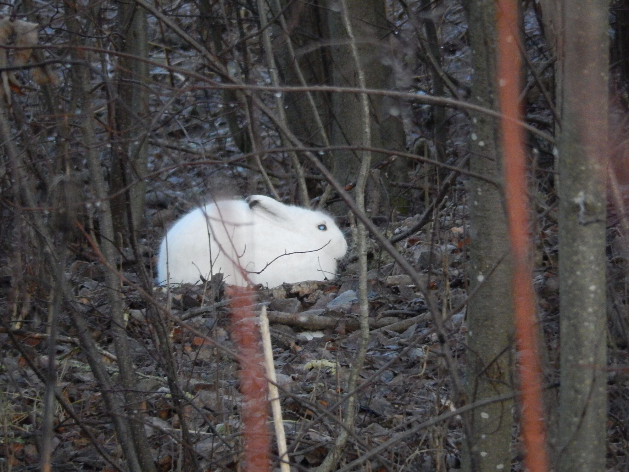 Valokuvaaja: Pirkko Siukonen