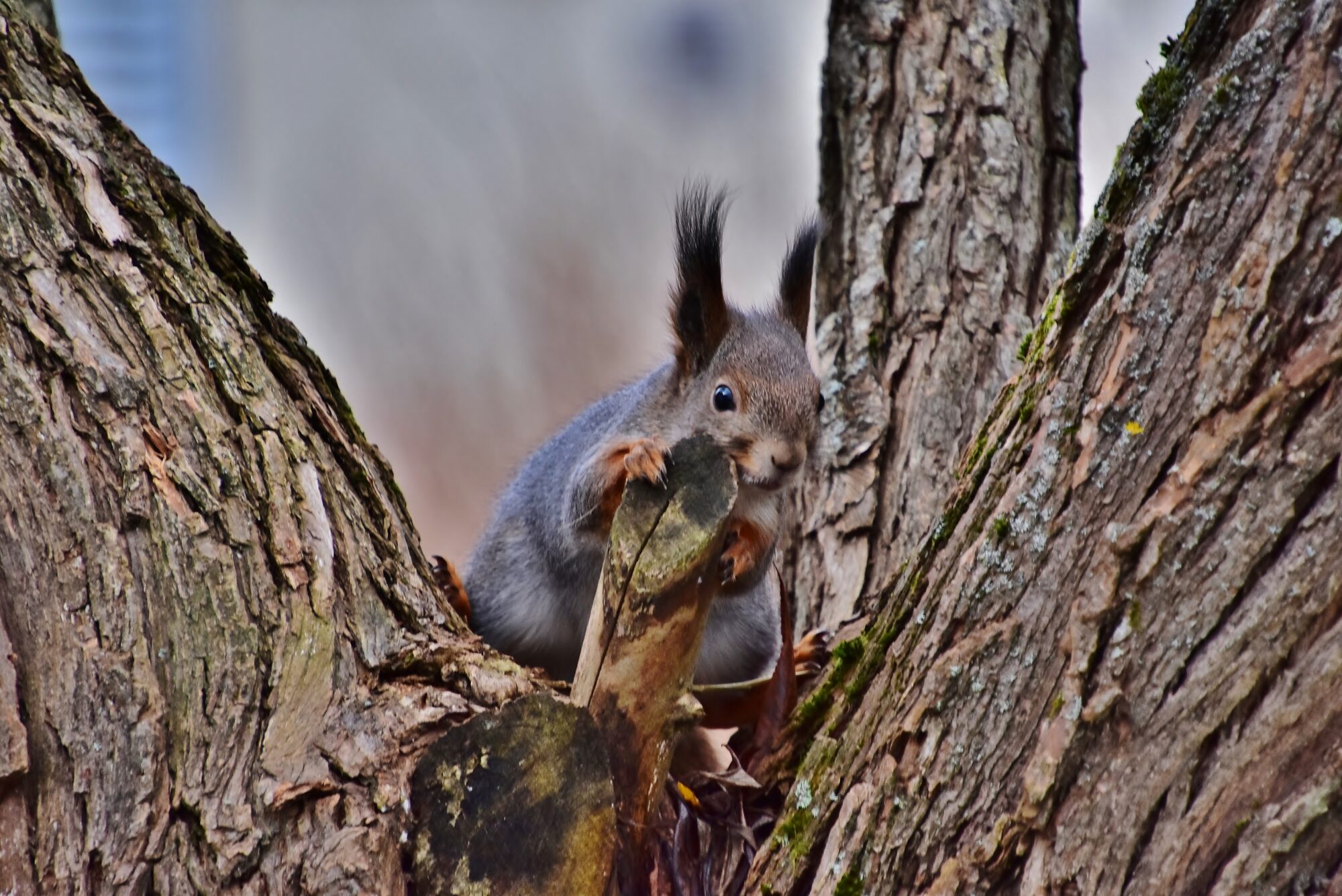 Valokuvaaja: Markku Pelkonen