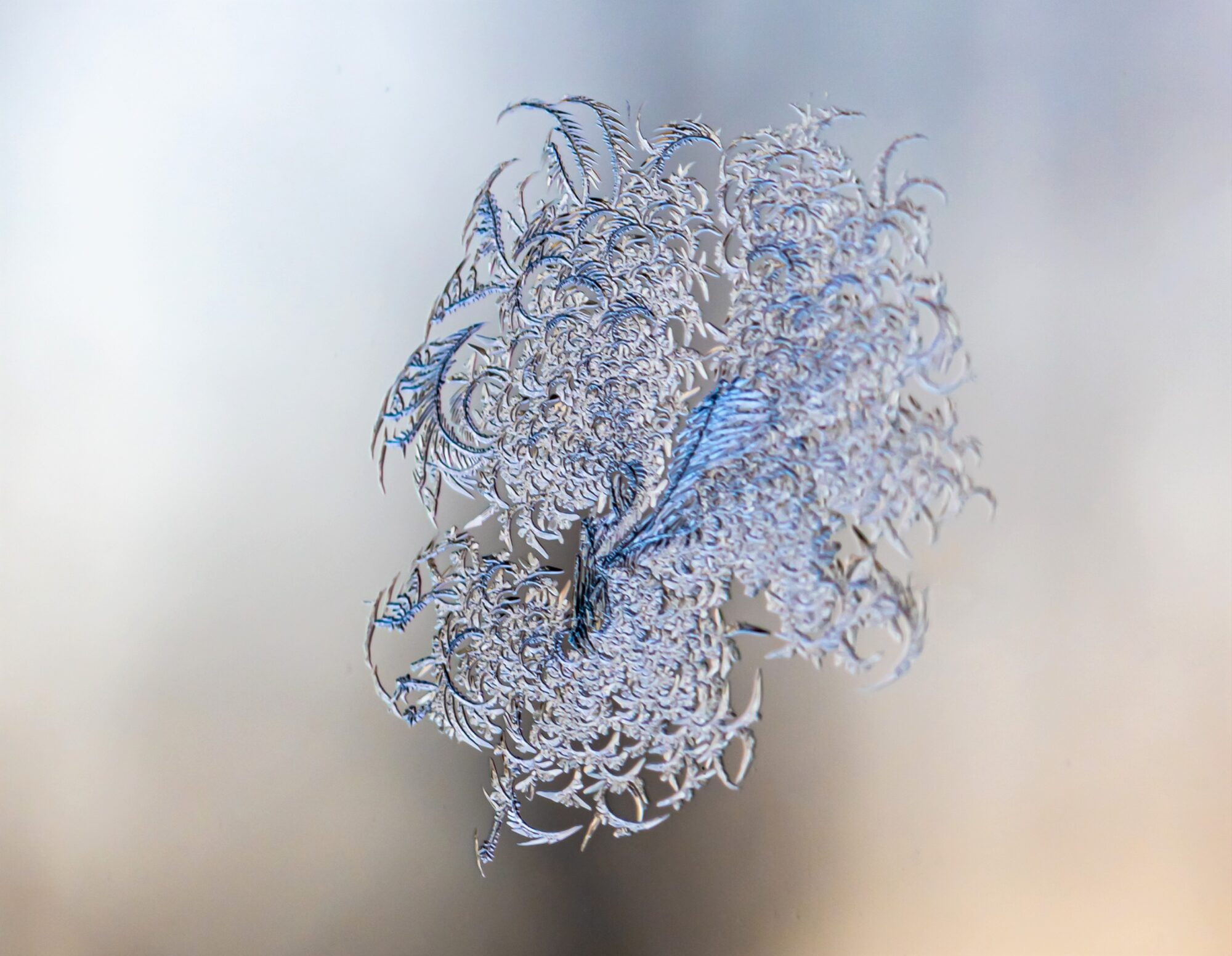 Valokuvaaja: Leena Rissanen