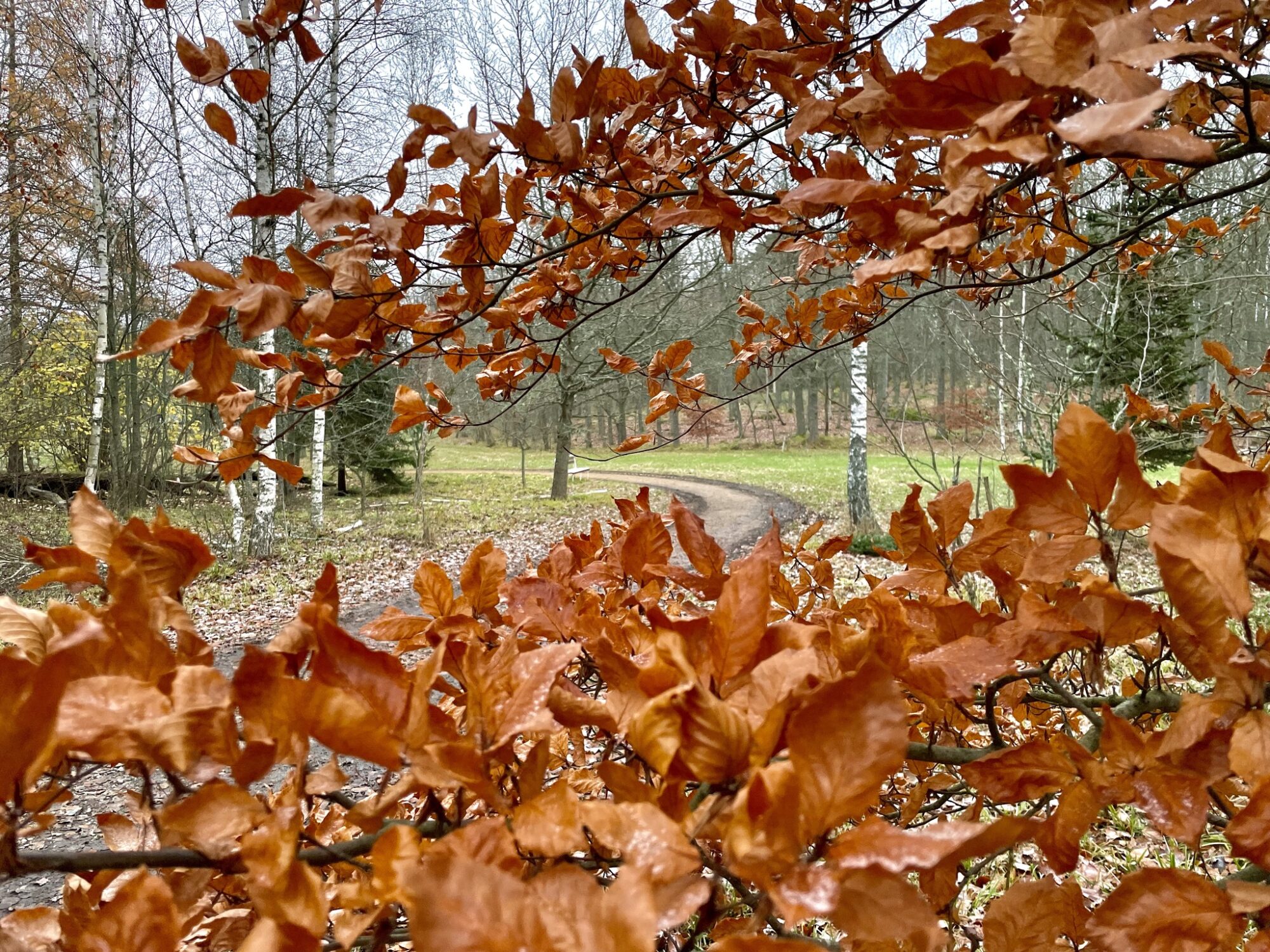 Valokuvaaja: Juhani Peltonen