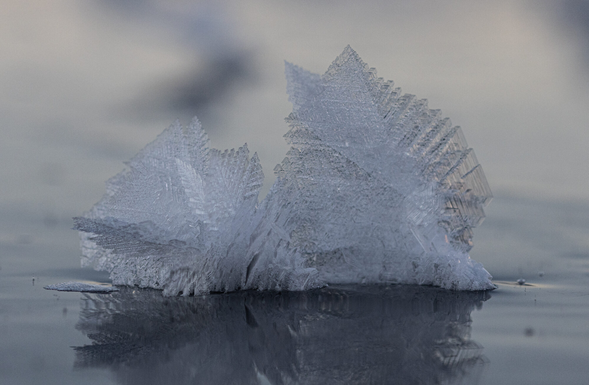 Valokuvaaja: Katri Niskanen