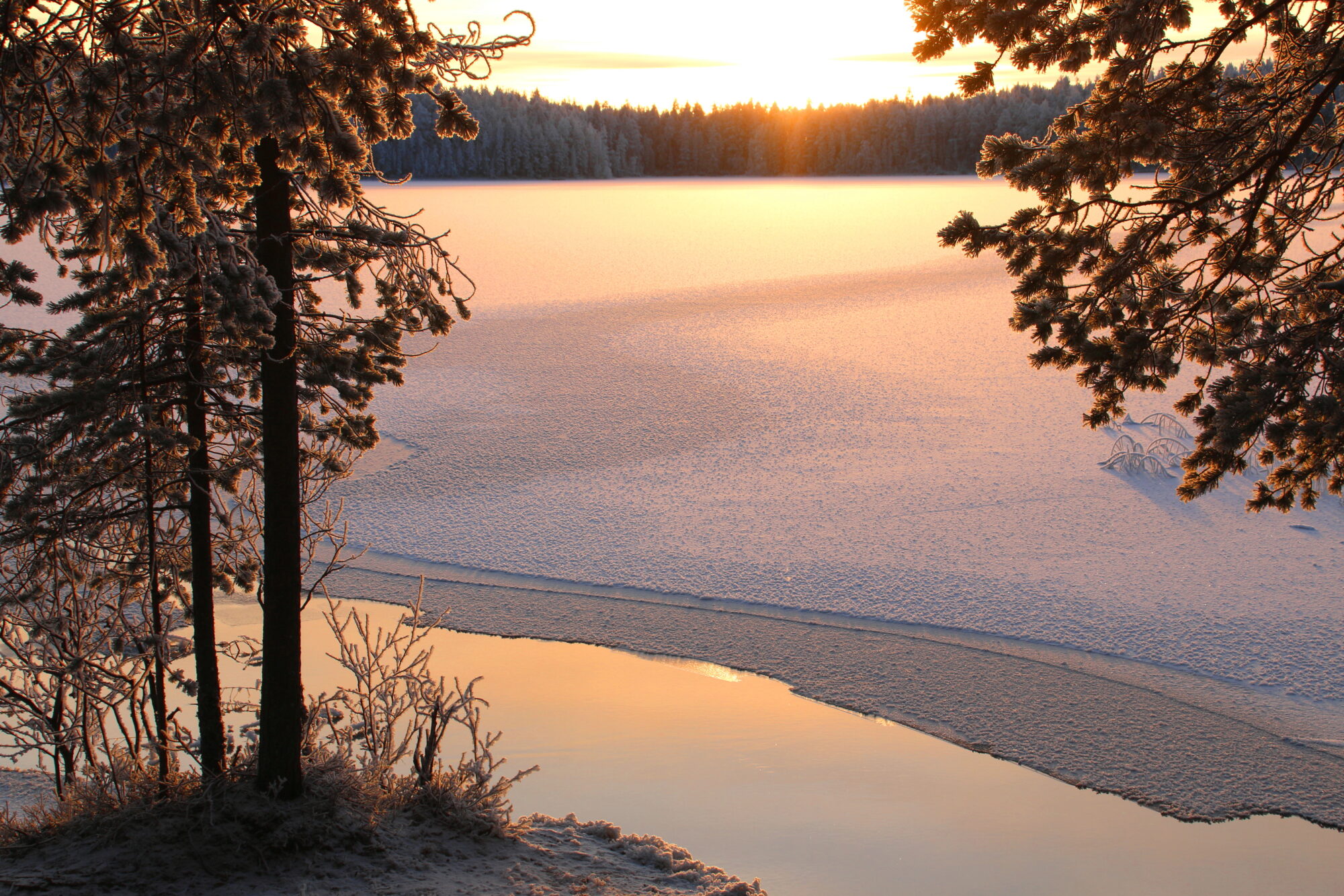 Valokuvaaja: Tuukka Pahtamaa