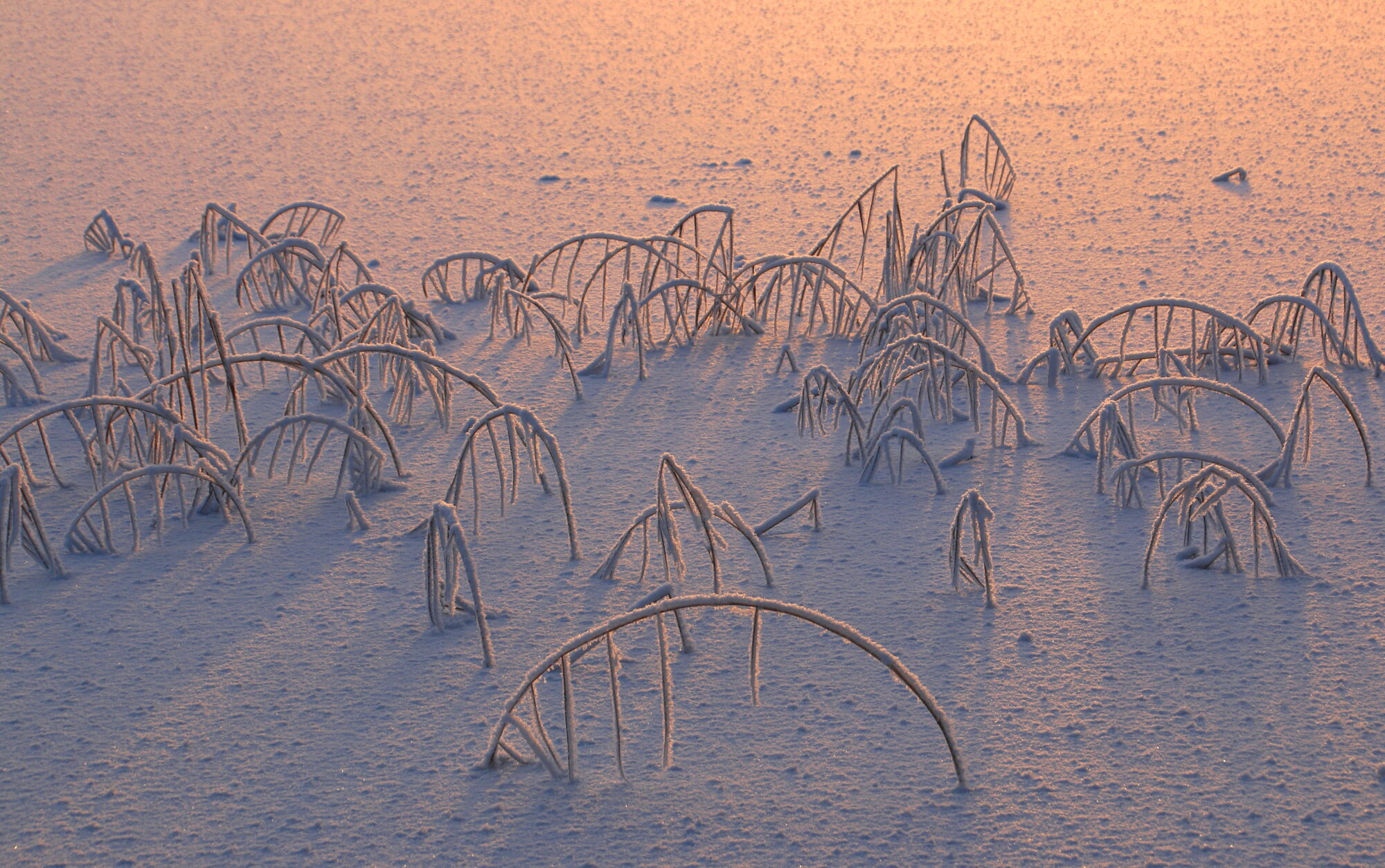 Valokuvaaja: Tuukka Pahtamaa