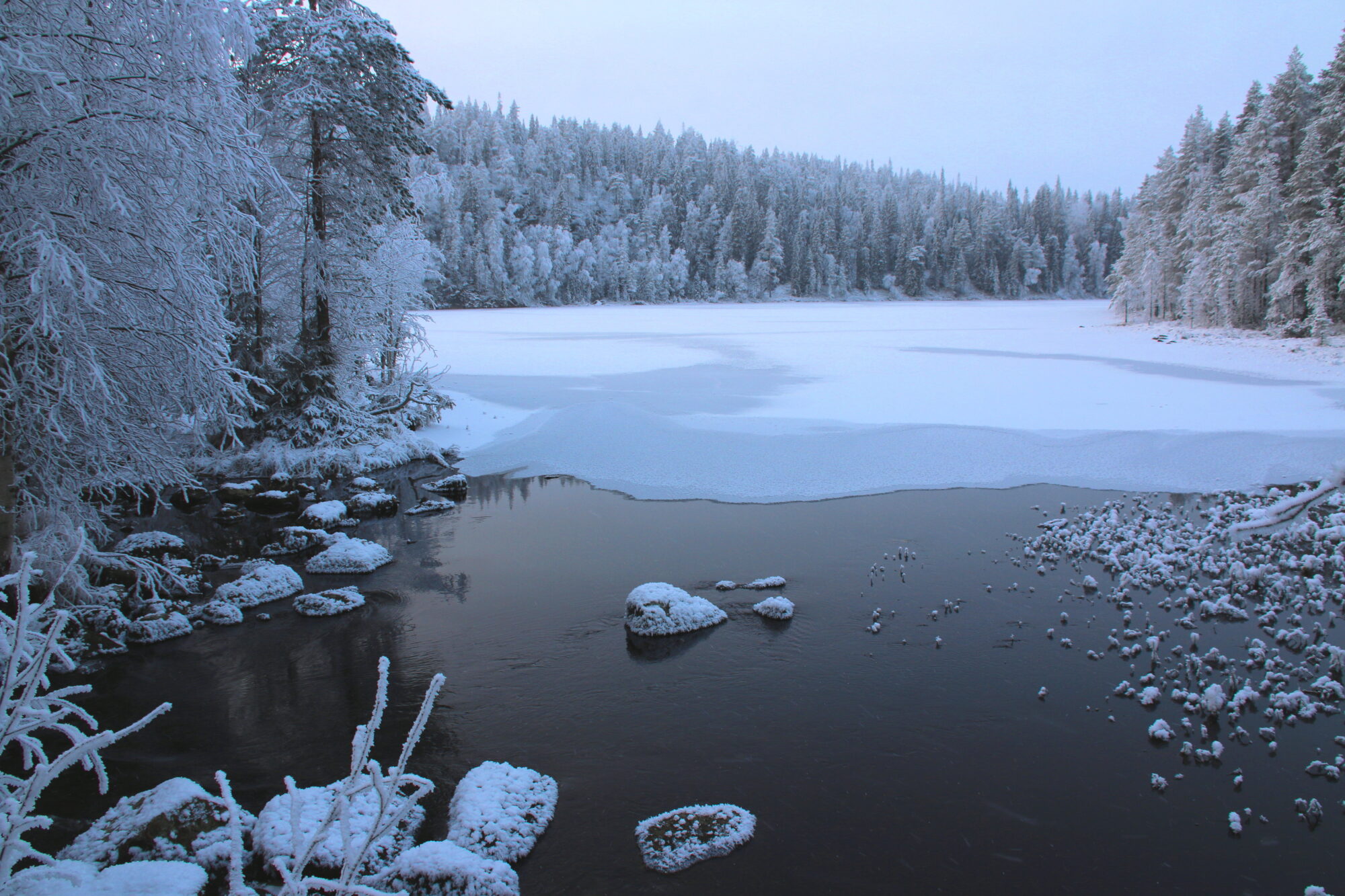 Valokuvaaja: Tuukka Pahtamaa