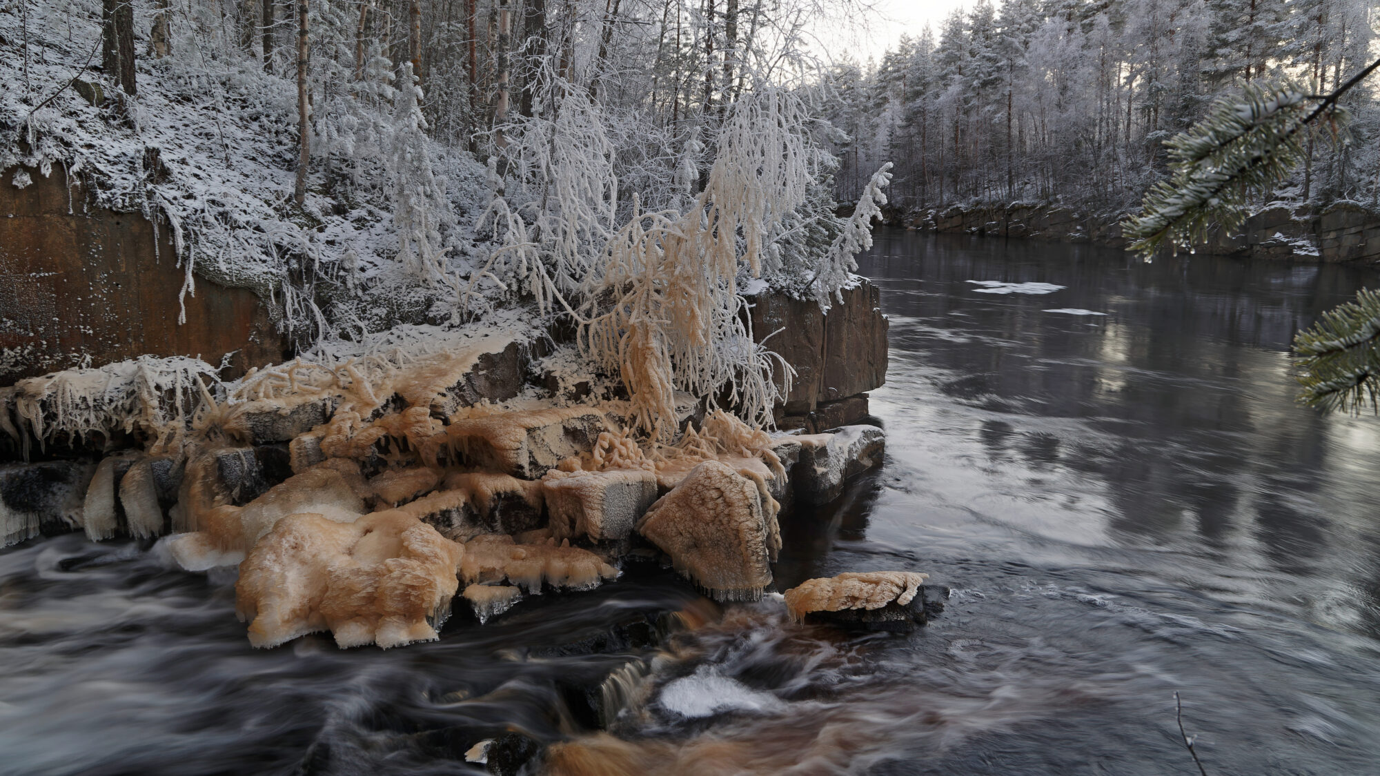 Valokuvaaja: Tommi Kujala