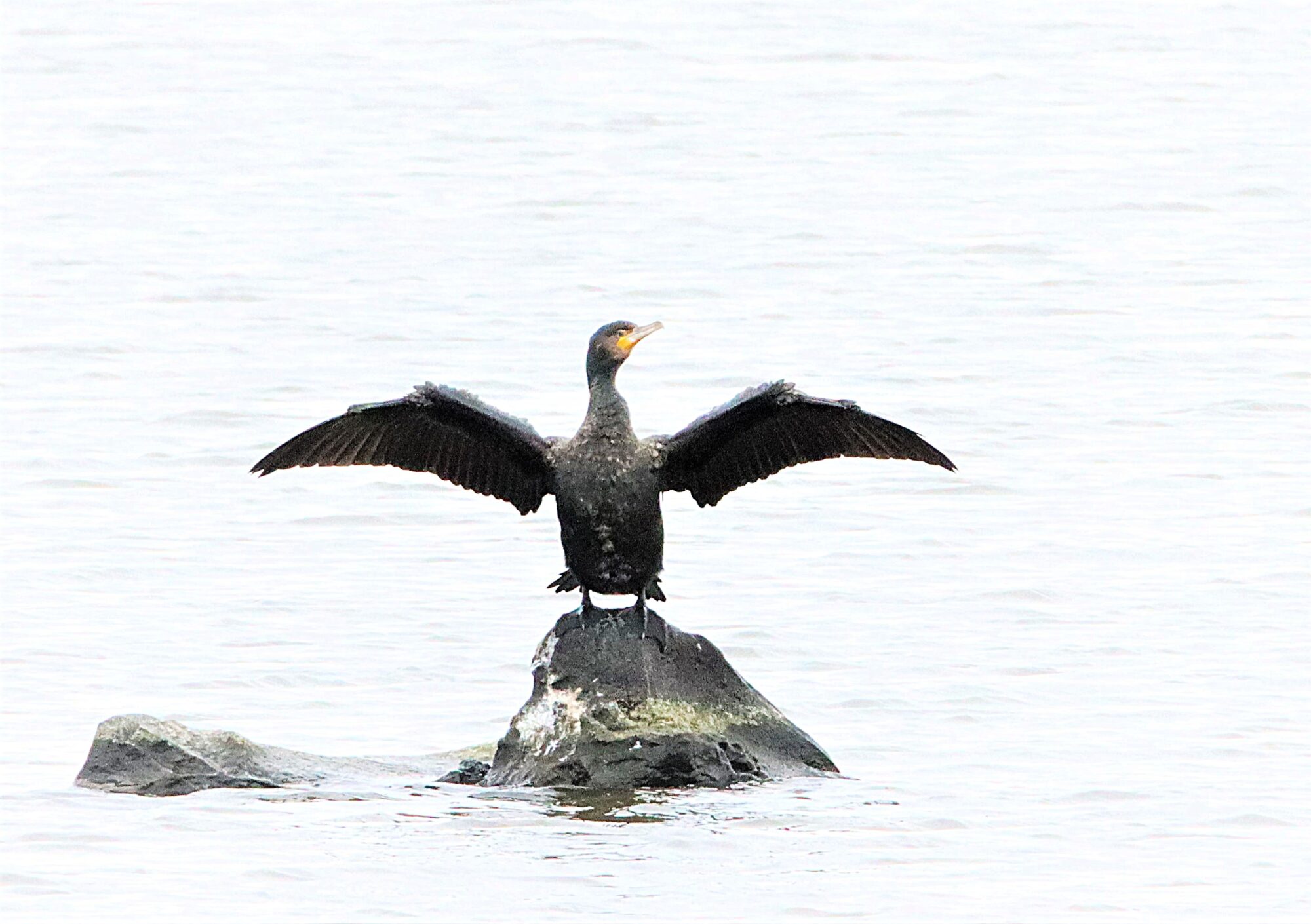 Valokuvaaja: Irja Lehtinen