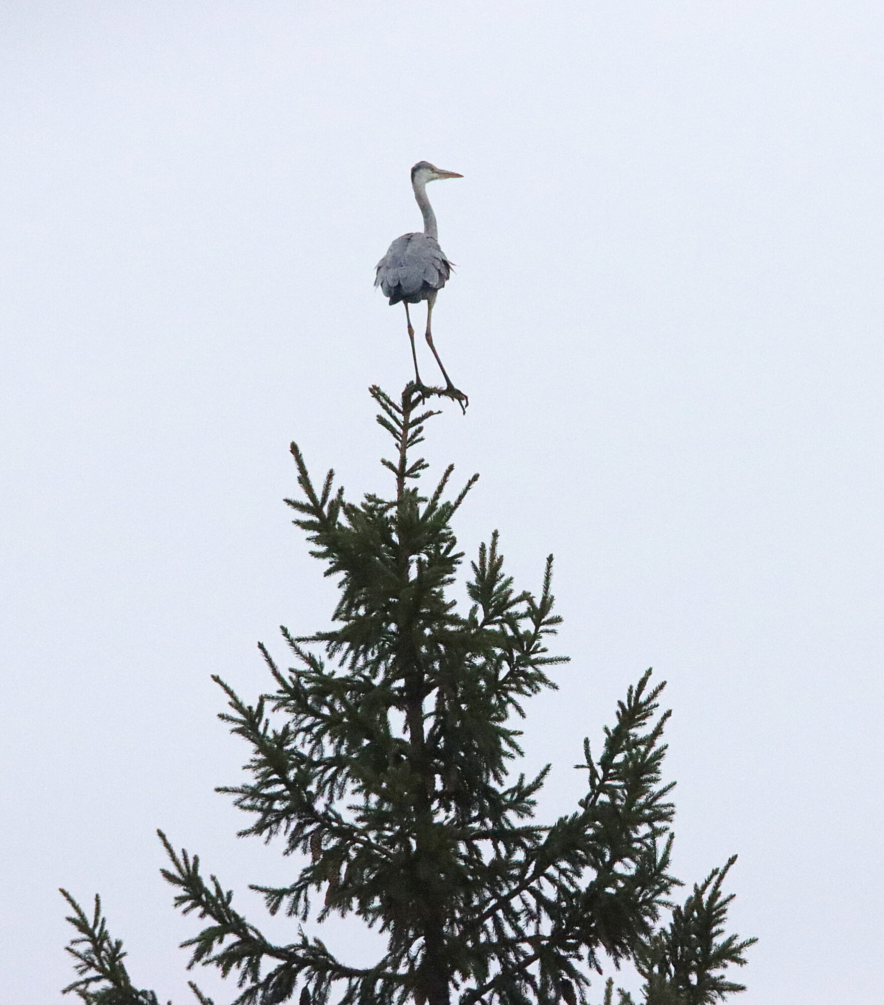 Valokuvaaja: Irja Lehtinen