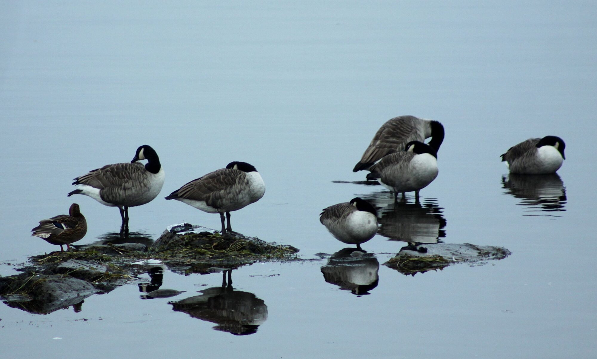 Valokuvaaja: Pirkko Siukonen