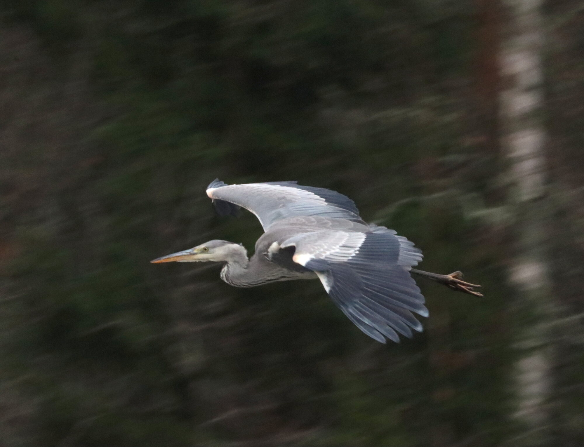 Valokuvaaja: Irja Lehtinen