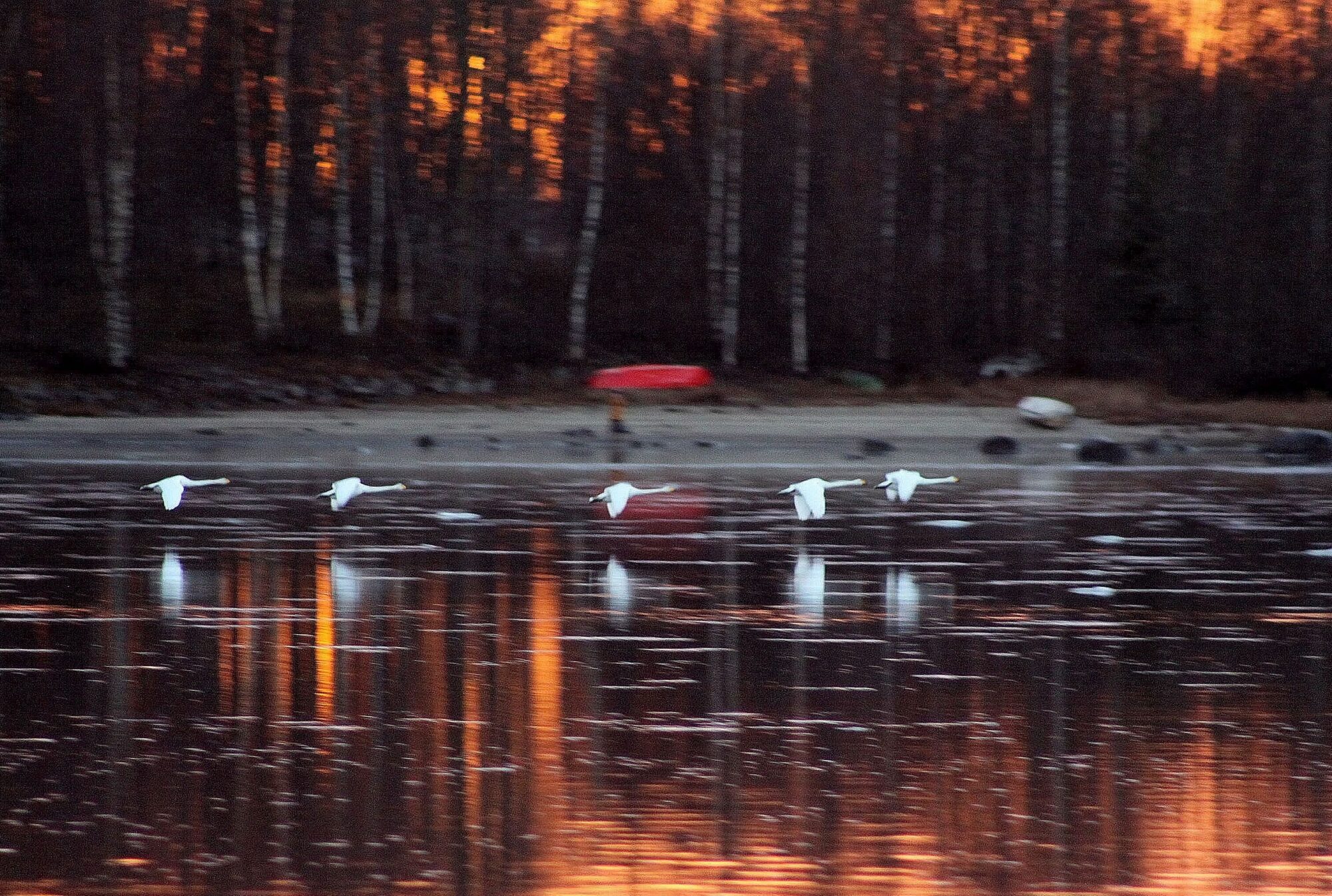 Valokuvaaja: Pirkko Siukonen