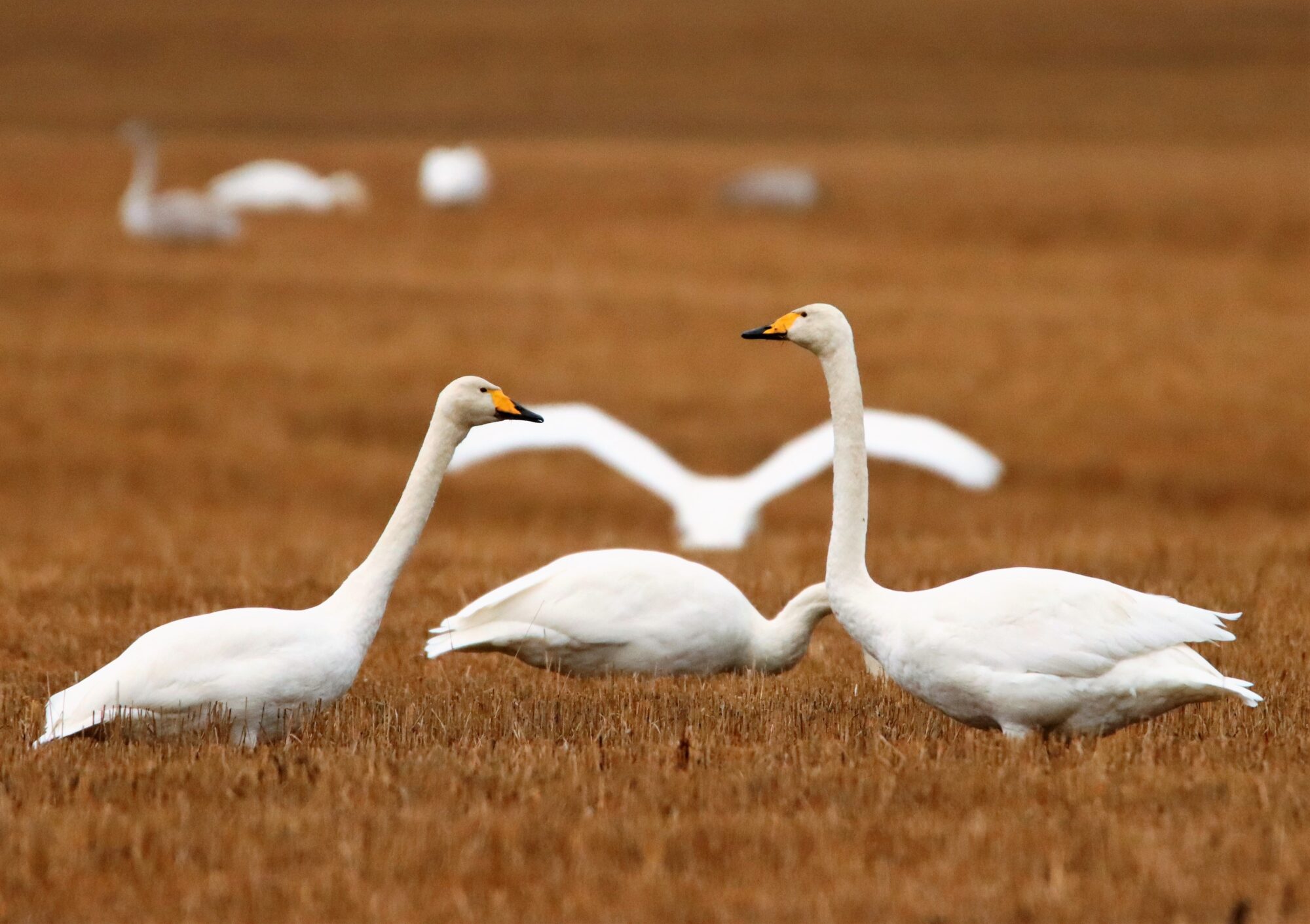 Valokuvaaja: Irja Lehtinen