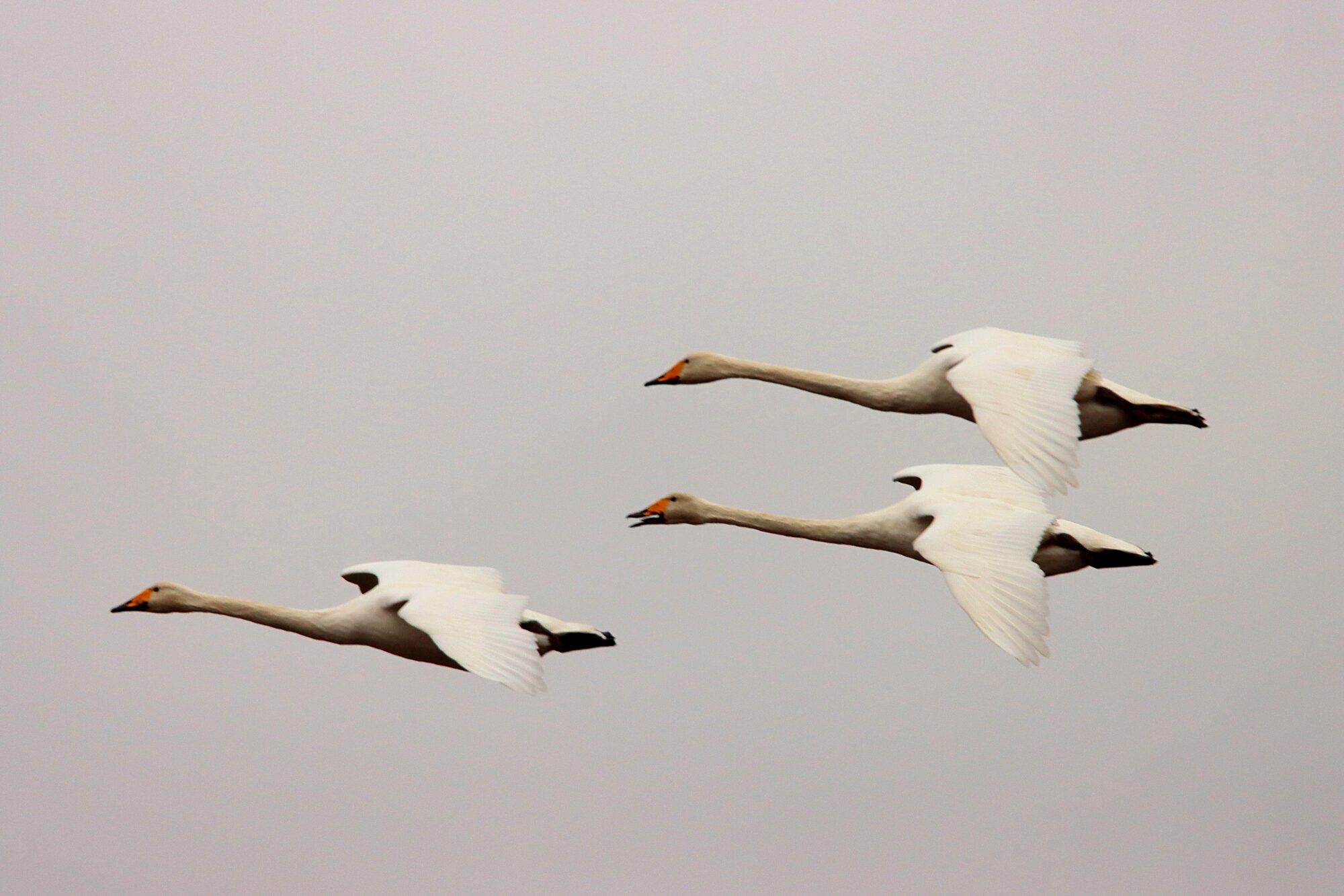 Valokuvaaja: Irja Lehtinen