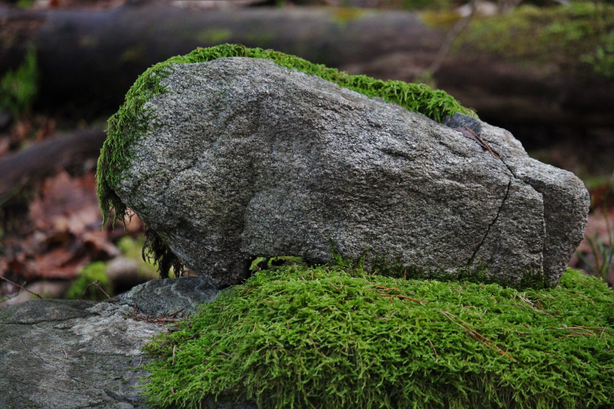 Valokuvaaja: Sari Salama