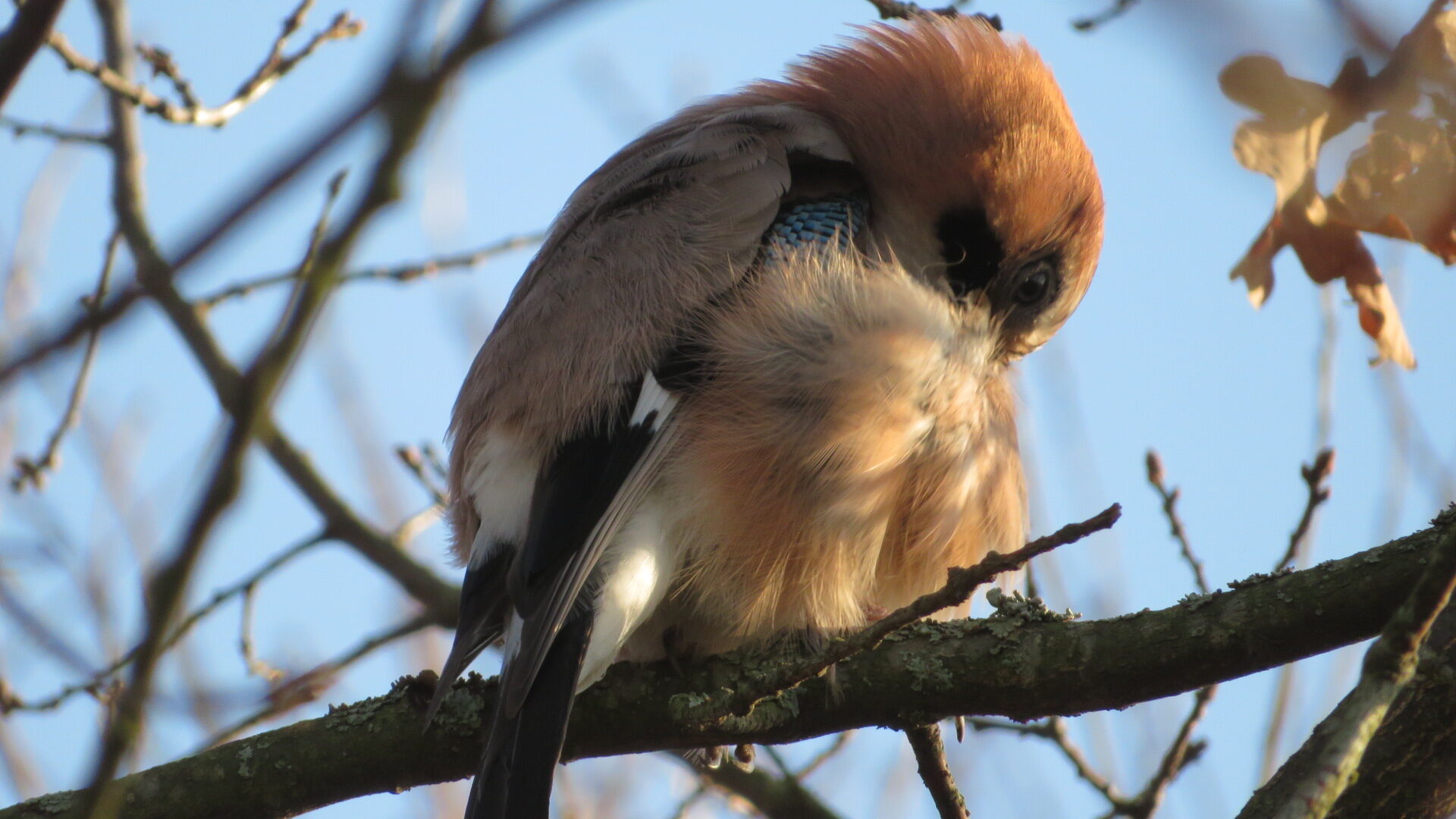 Valokuvaaja: Risto Kangassalo