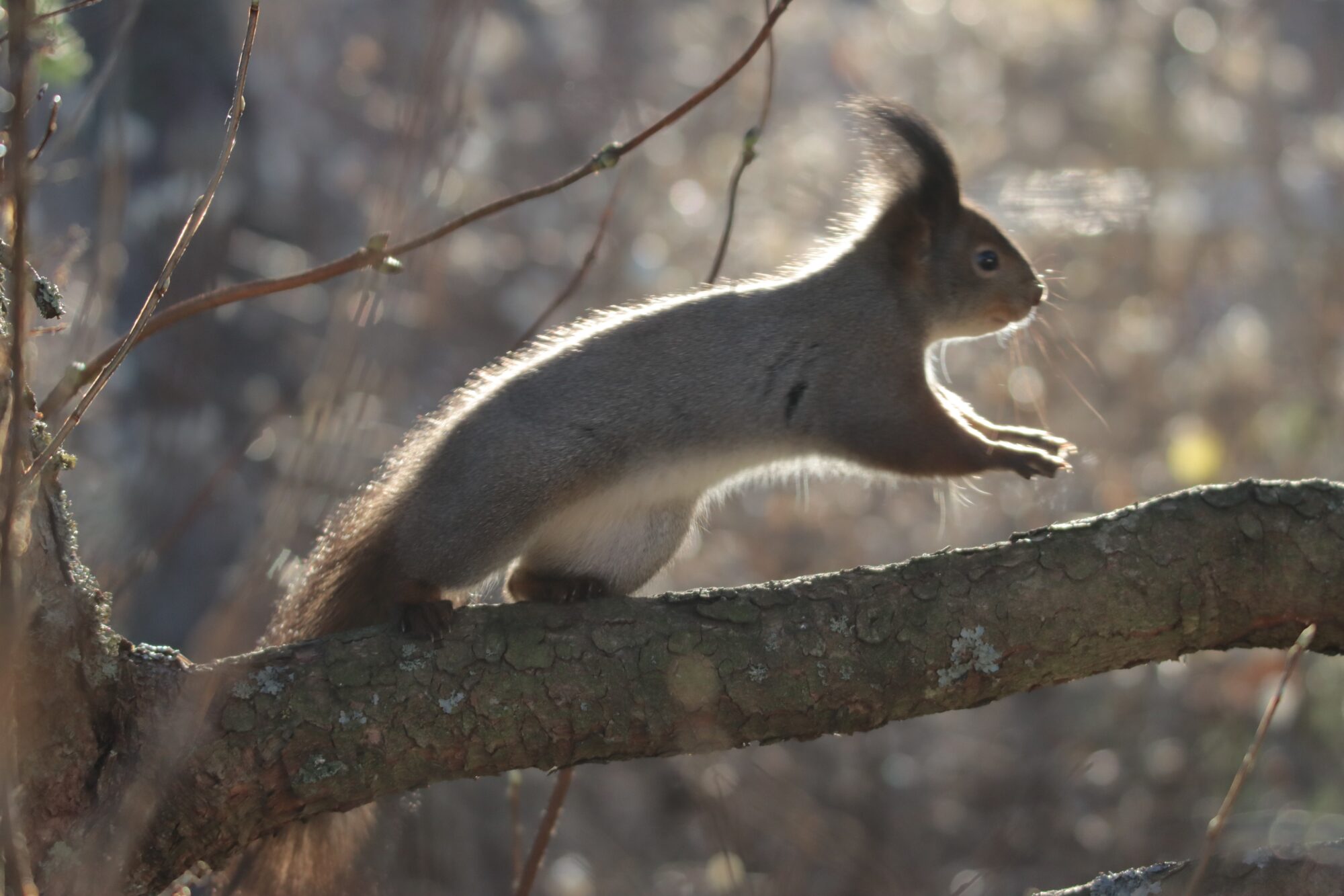 Valokuvaaja: Irja Lehtinen