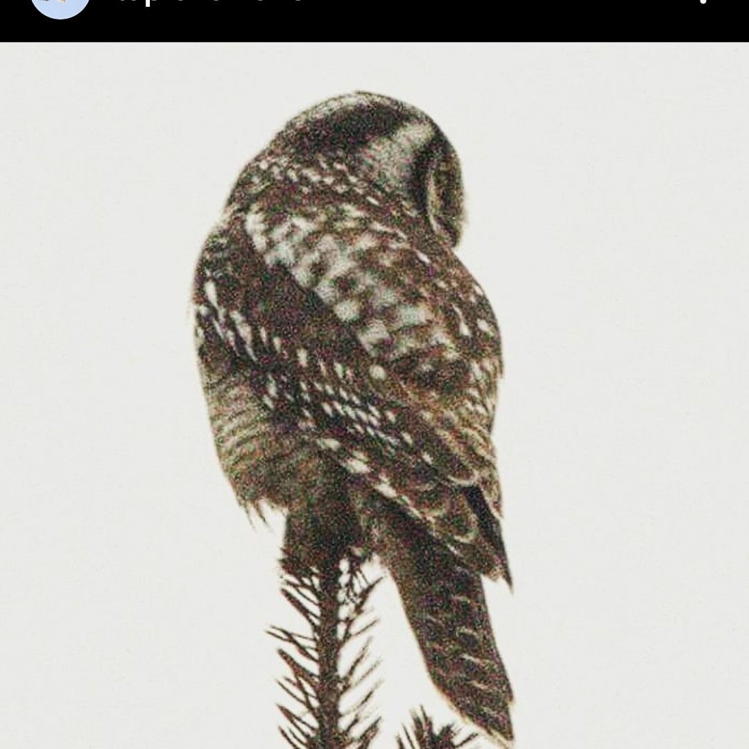 Valokuvaaja: Tapio Keinonen