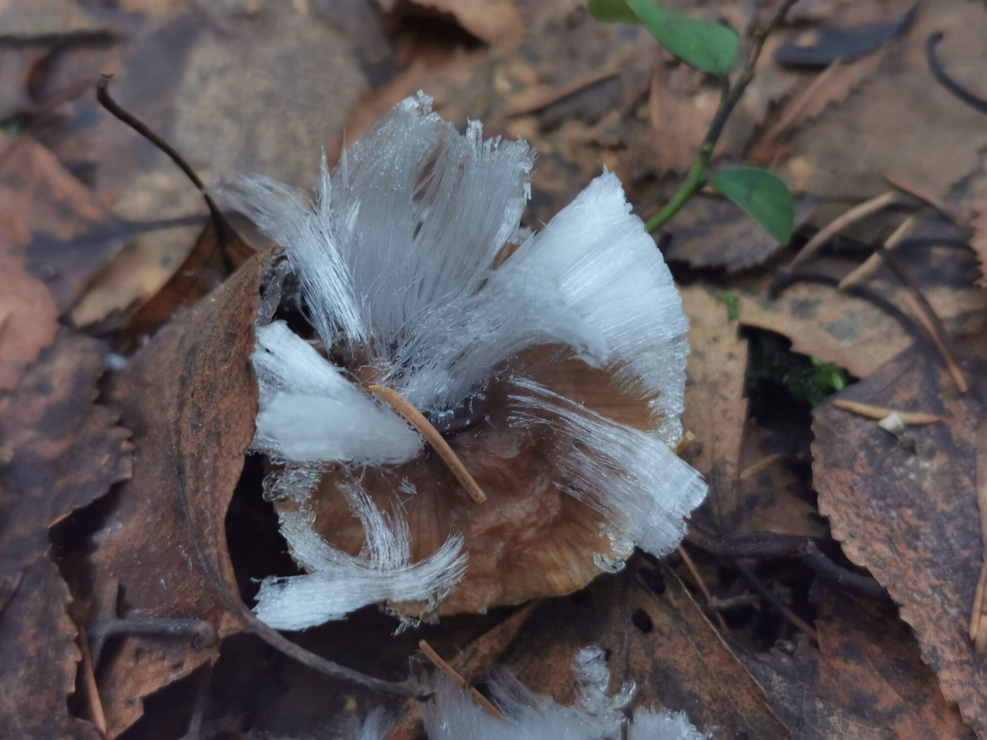 Valokuvaaja: Satu Kuningas