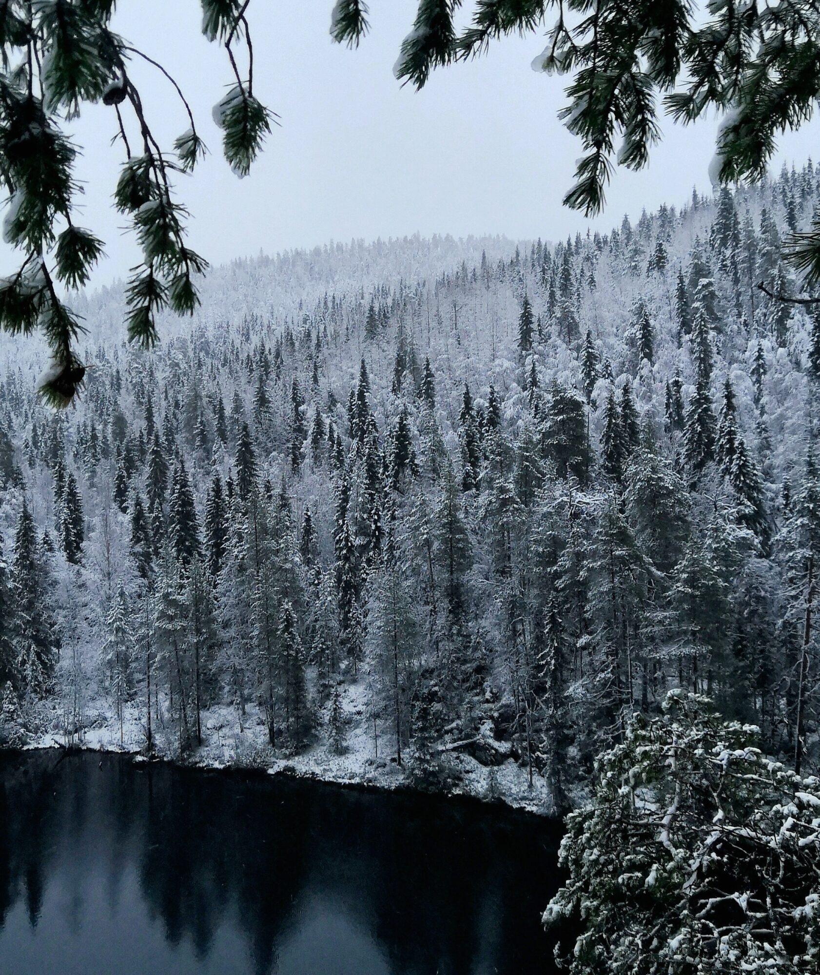 Valokuvaaja: Susanna