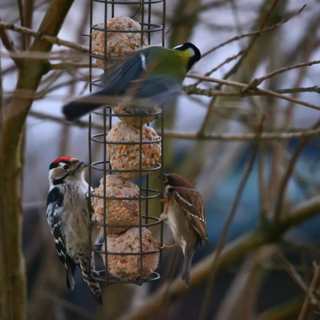 Valokuvaaja: Timo Lehtelä