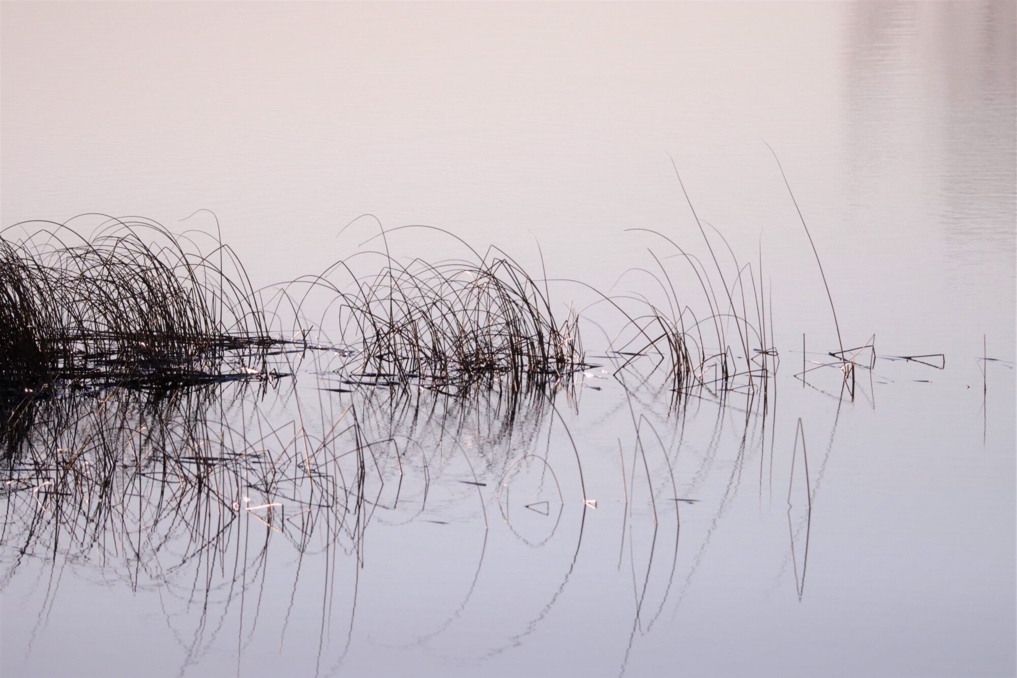 Valokuvaaja: Irja Lehtinen