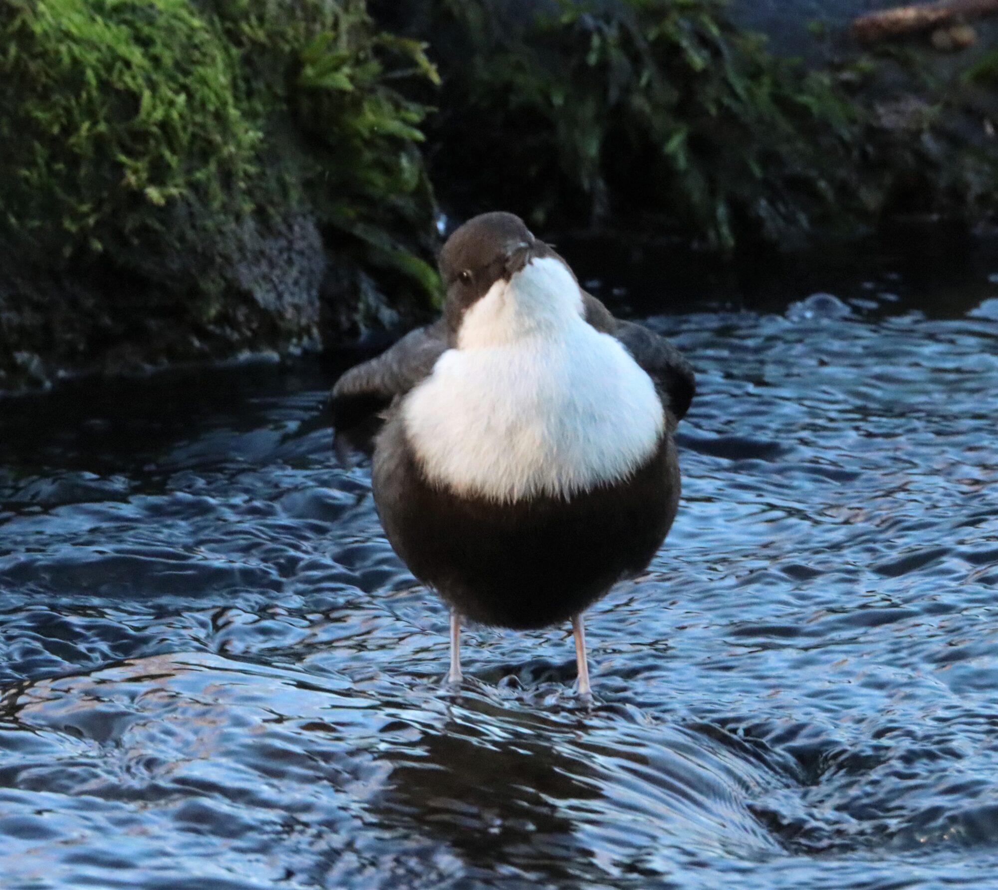 Valokuvaaja: Irja Lehtinen