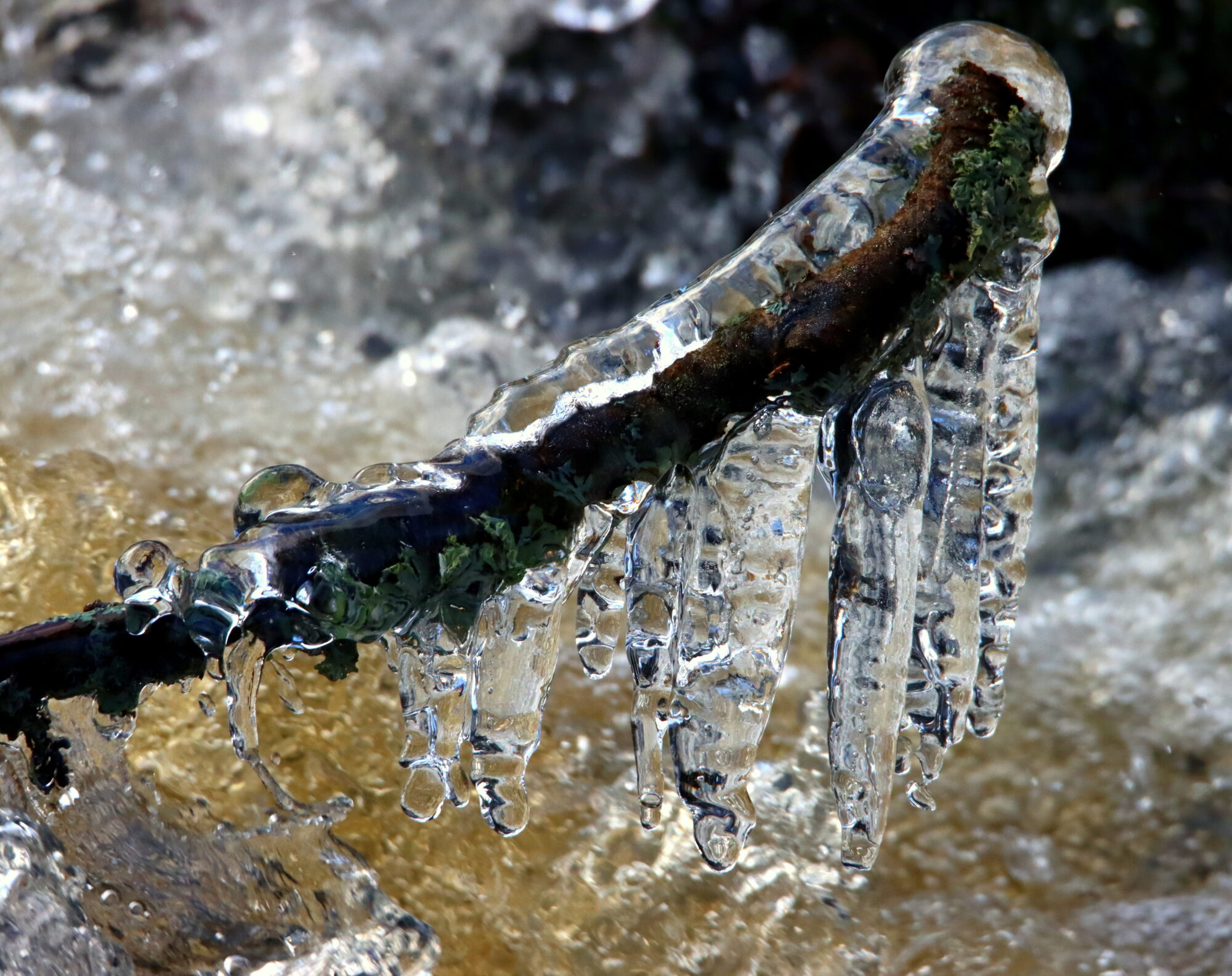 Valokuvaaja: Irja Lehtinen