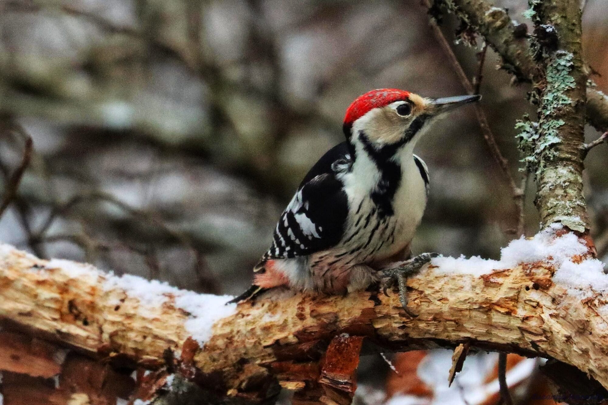 Valokuvaaja: Susanna Hannula