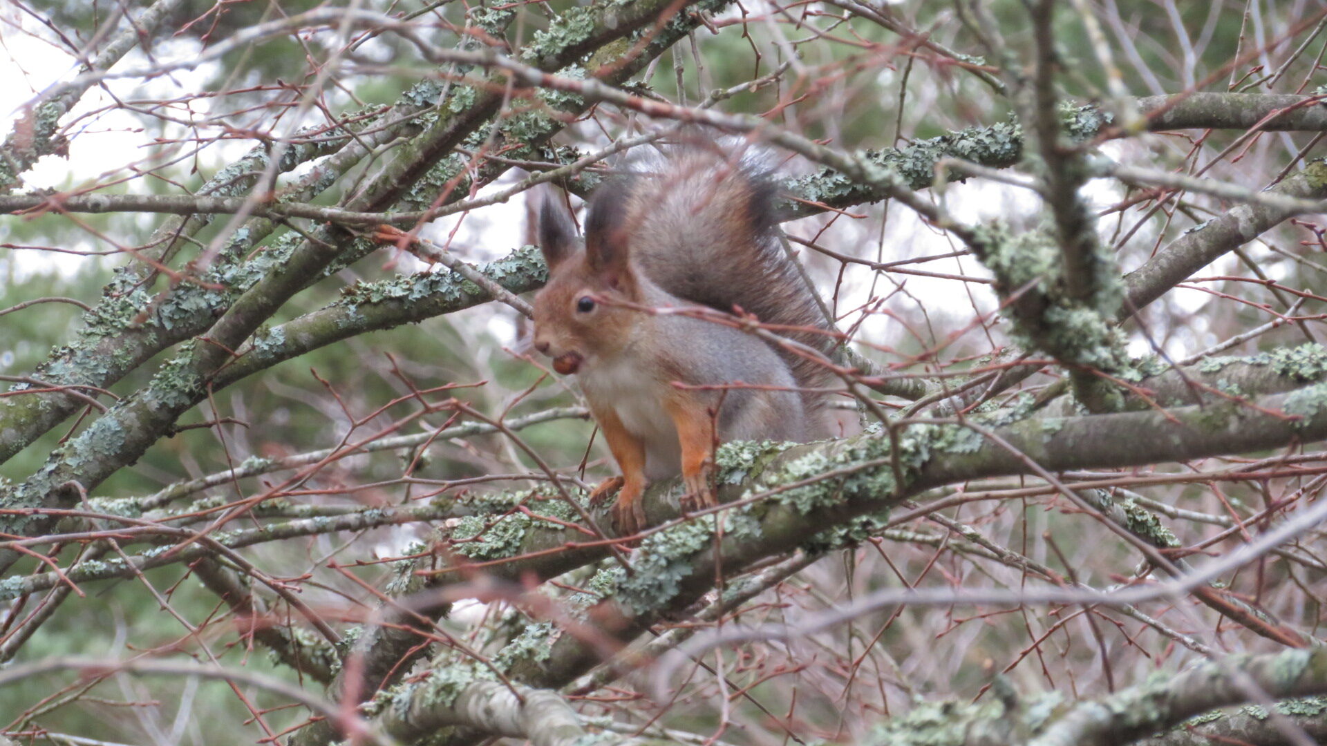 Valokuvaaja: Risto Kangassalo