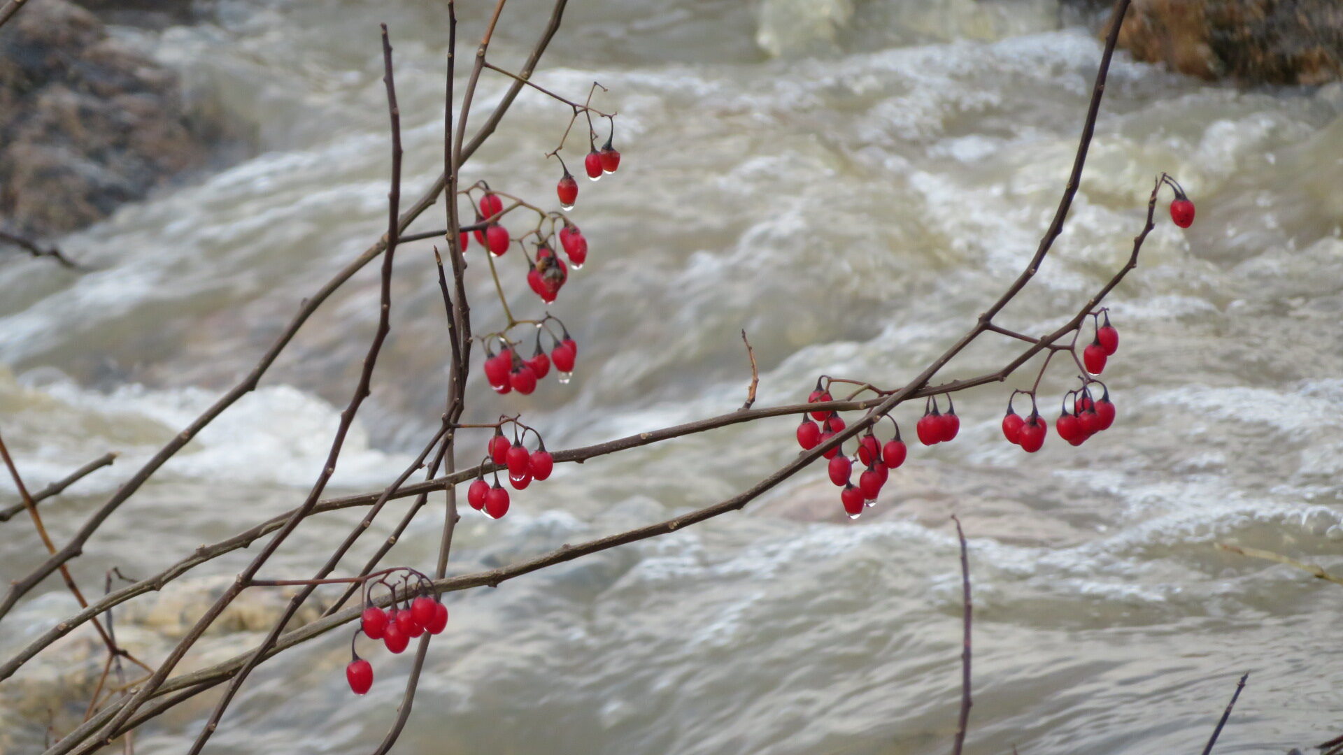 Valokuvaaja: Risto Kangassalo