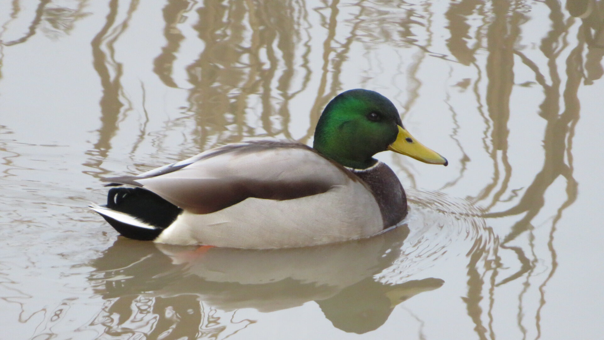 Valokuvaaja: Risto Kangassalo