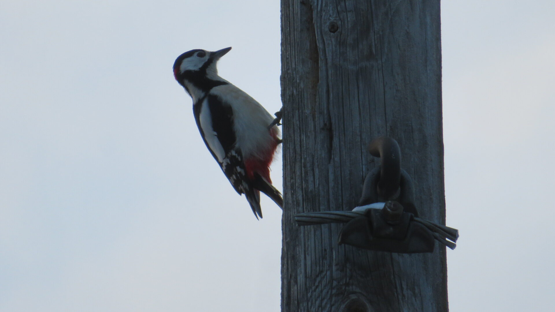 Valokuvaaja: Risto Kangassalo
