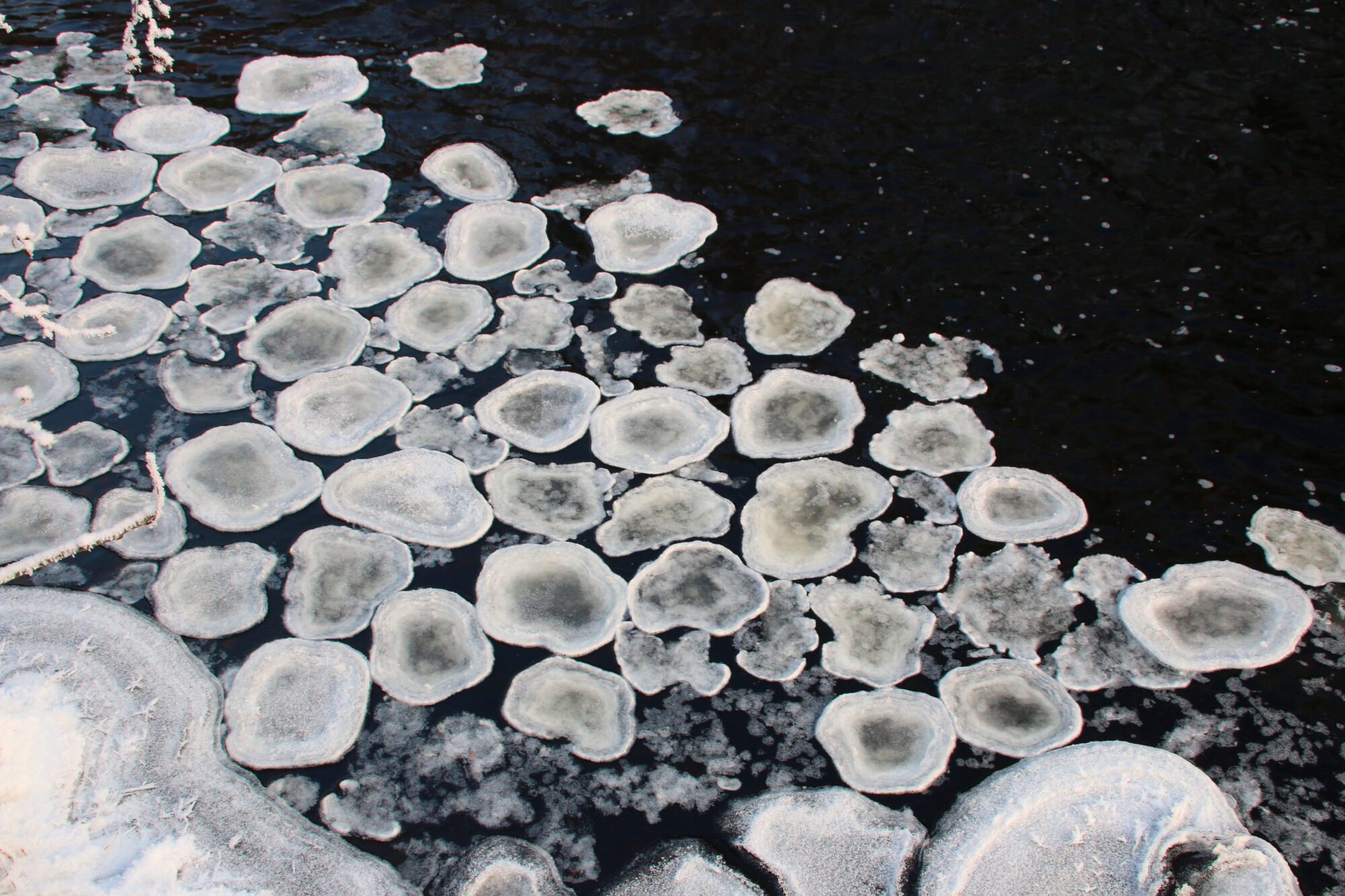 Valokuvaaja: Tuukka Pahtamaa