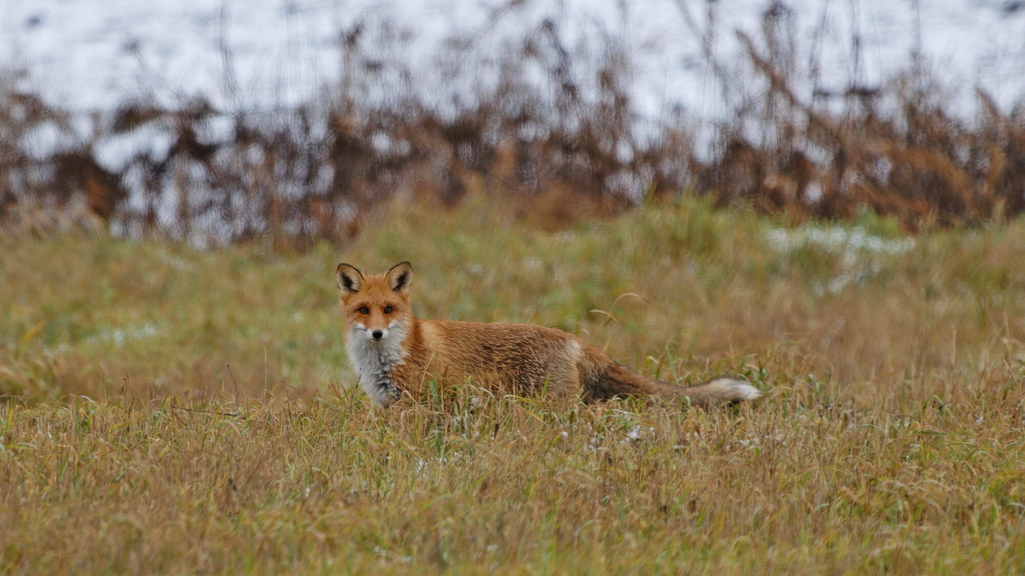 Valokuvaaja: Tommi Kujala