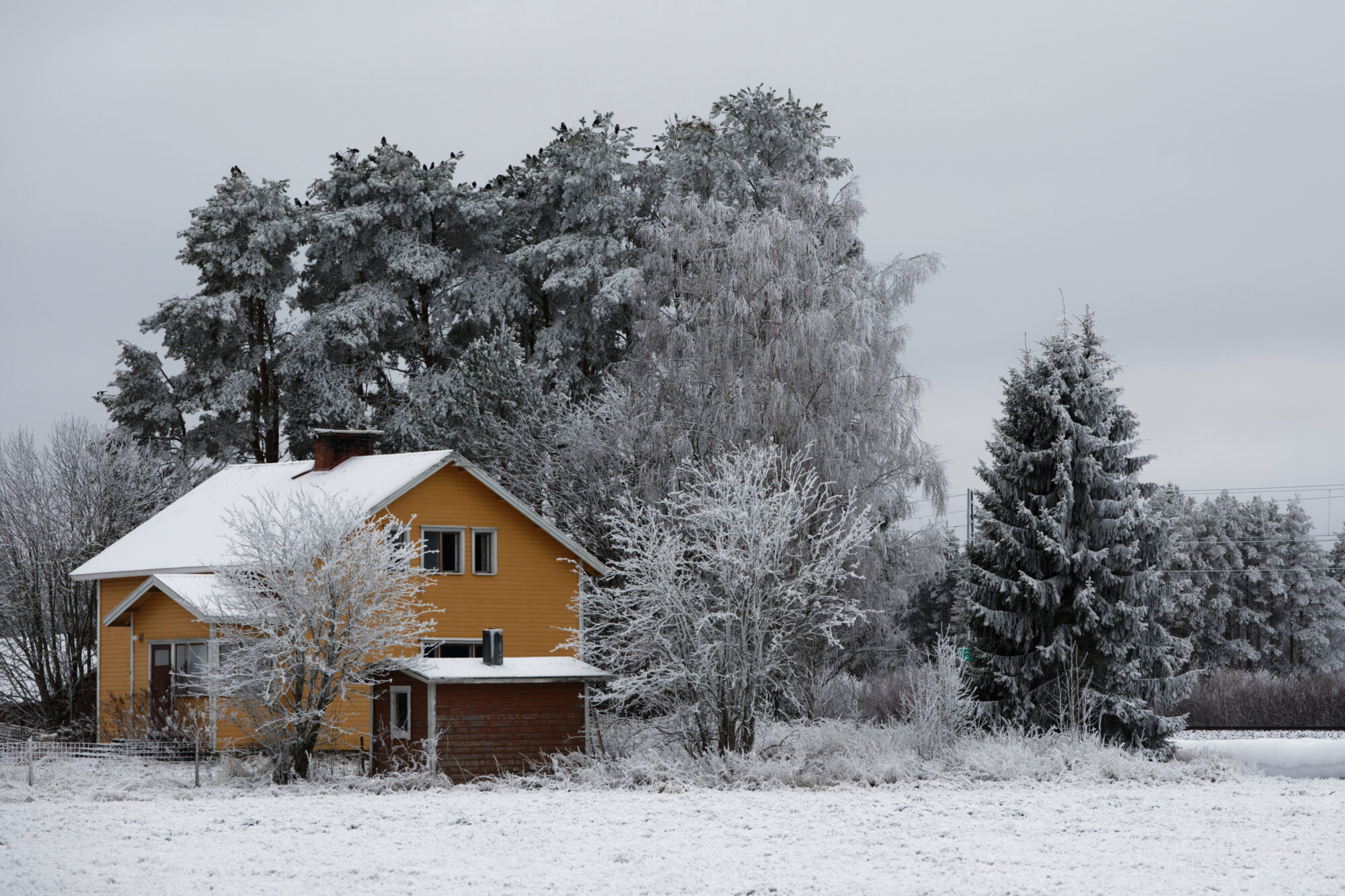 Valokuvaaja: Tommi Kujala