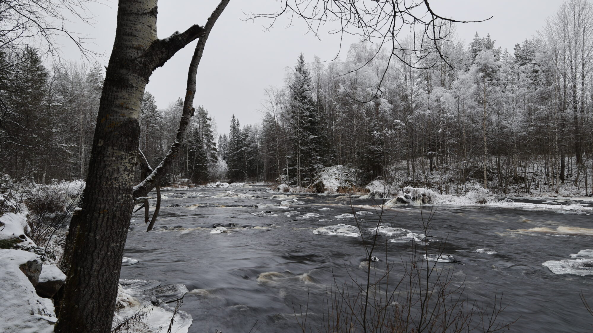 Valokuvaaja: Tommi Kujala Valokuvaaja: Tommi Kujala