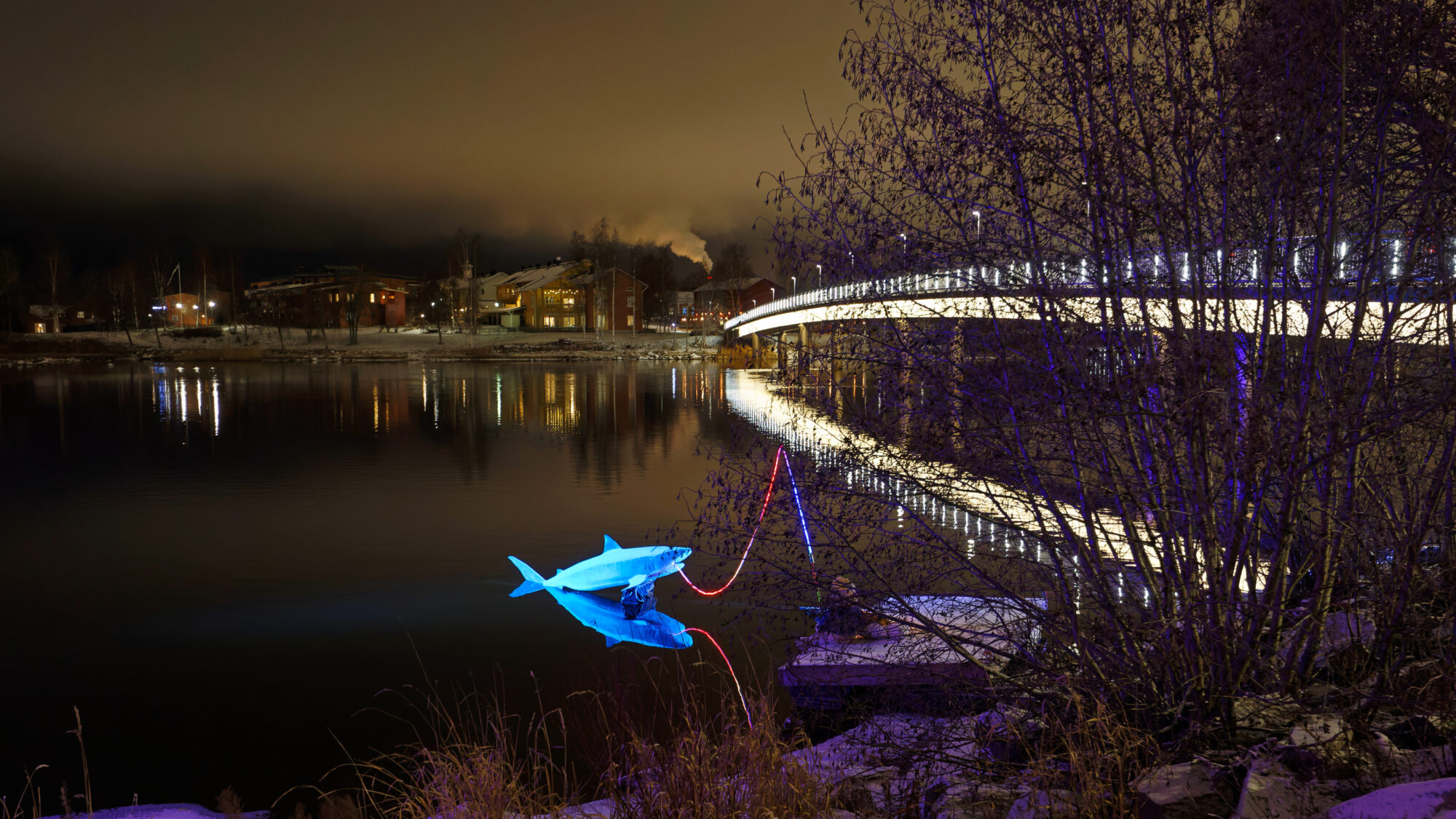 Valokuvaaja: Tommi Kujala