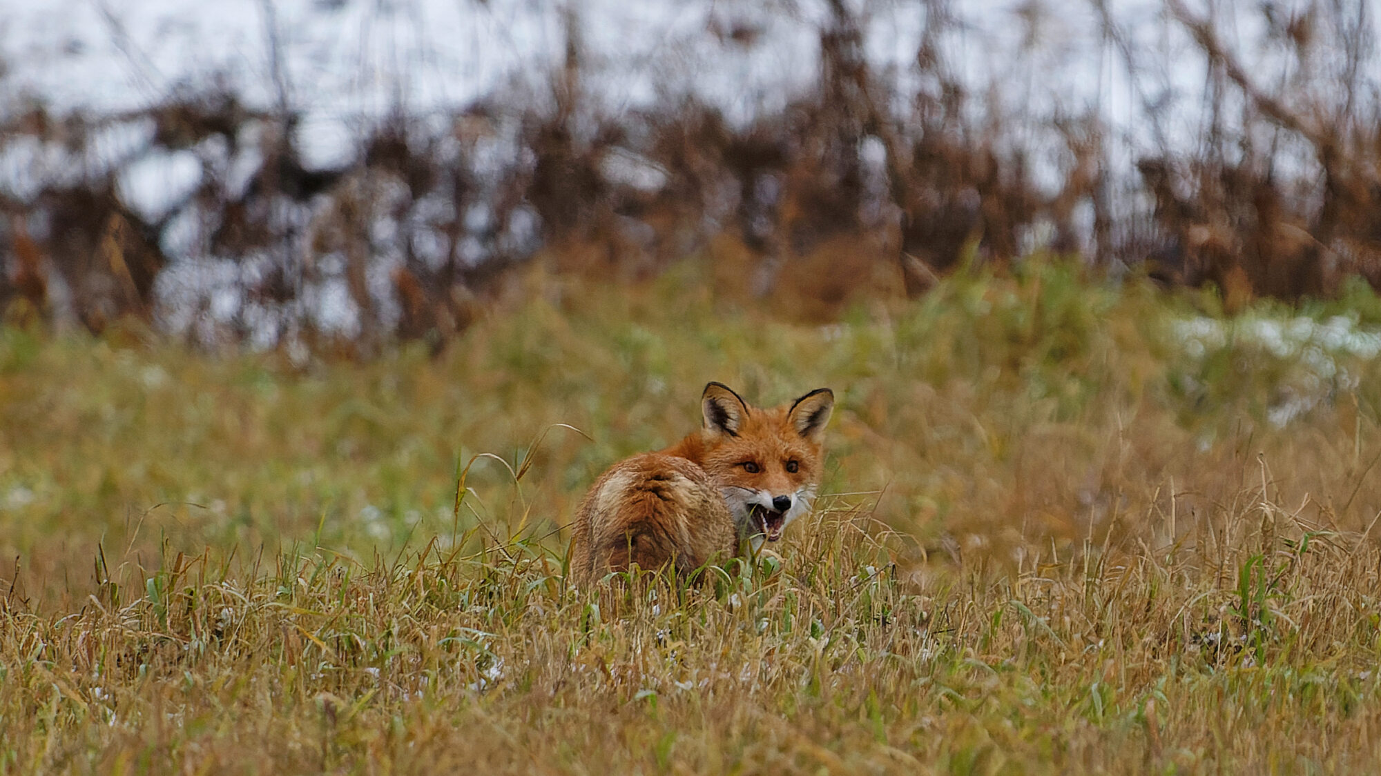 Valokuvaaja: Tommi Kujala