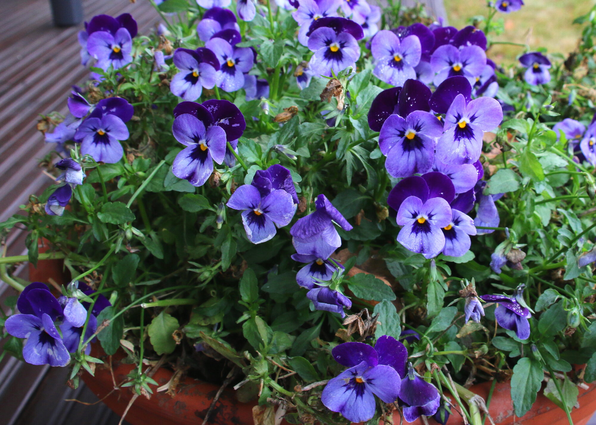 Valokuvaaja: Tuukka Pahtamaa